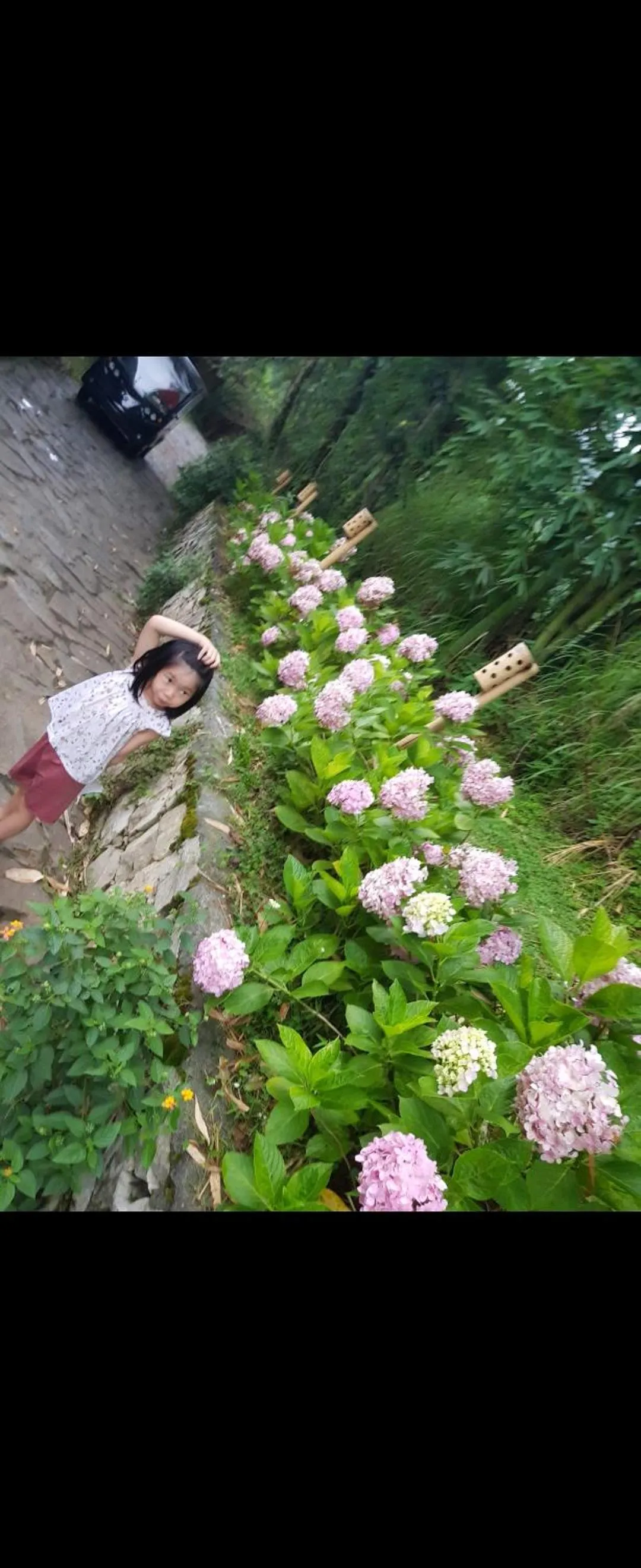 Natural landscape in Heaven House Sapa