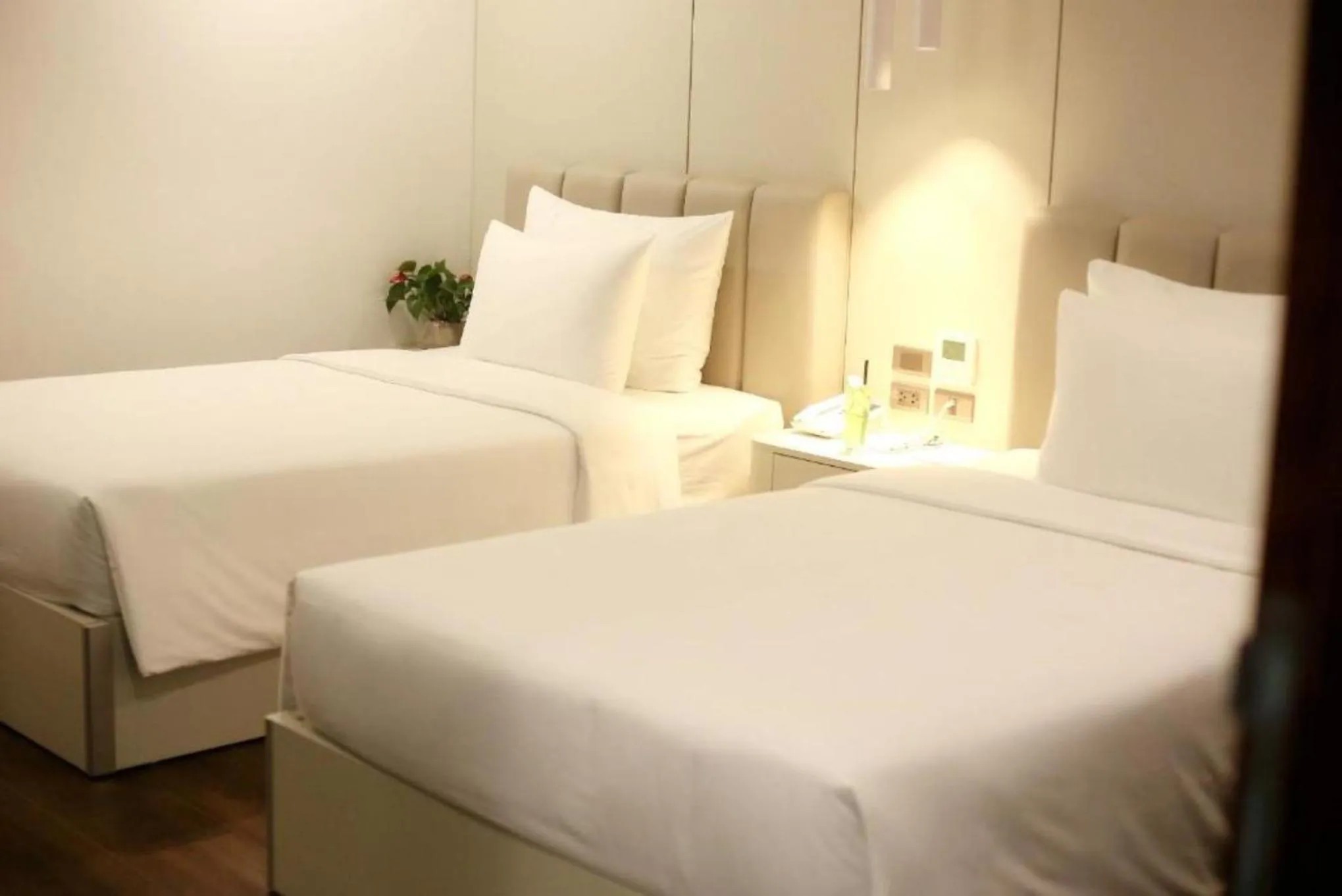 Photo of the whole room, Bed in Danitel Halong