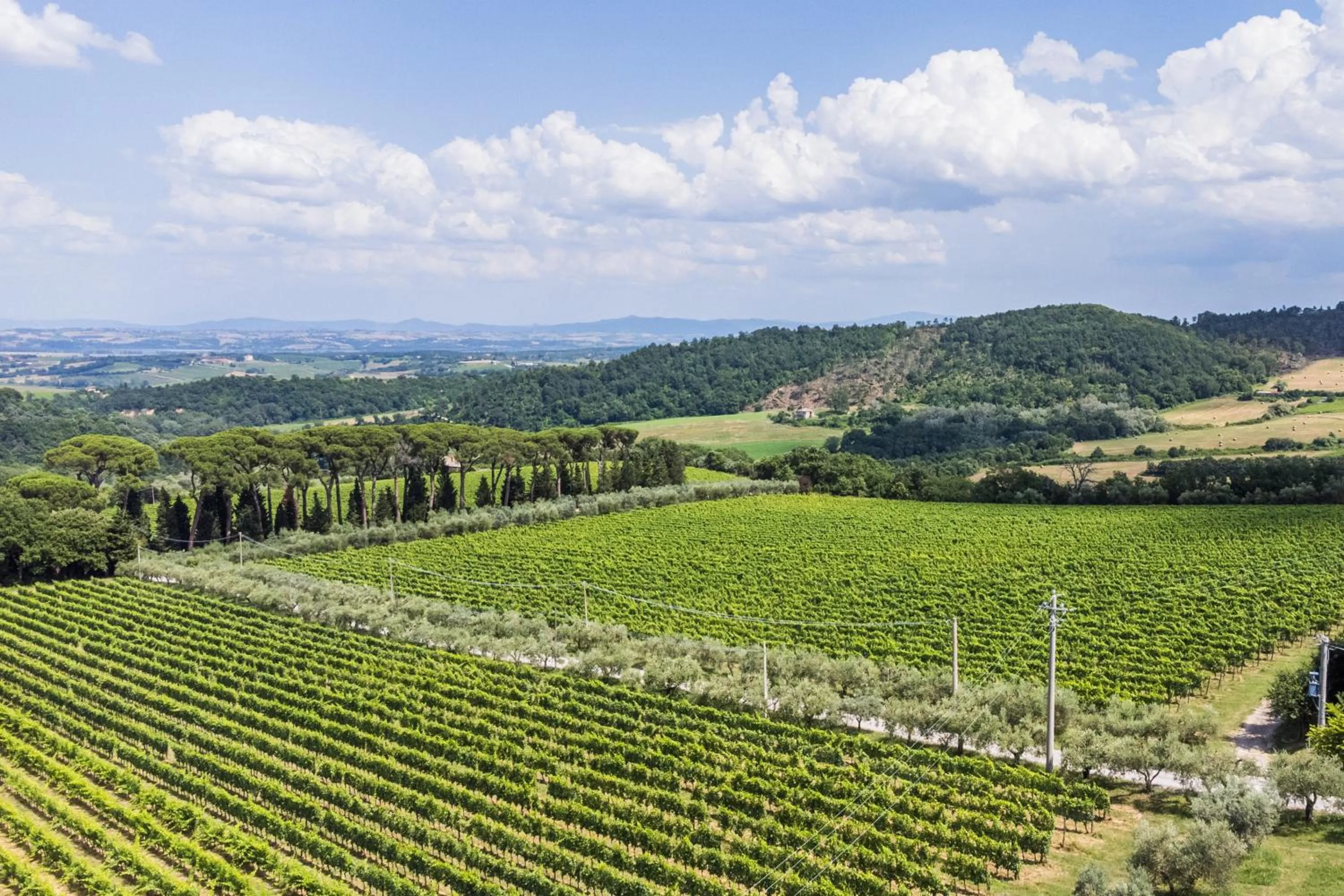 Natural landscape in Villa Boschetto by Mmega
