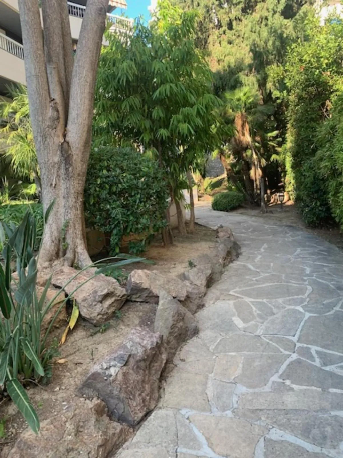 Lovely cosy nest close to the centre of Cannes