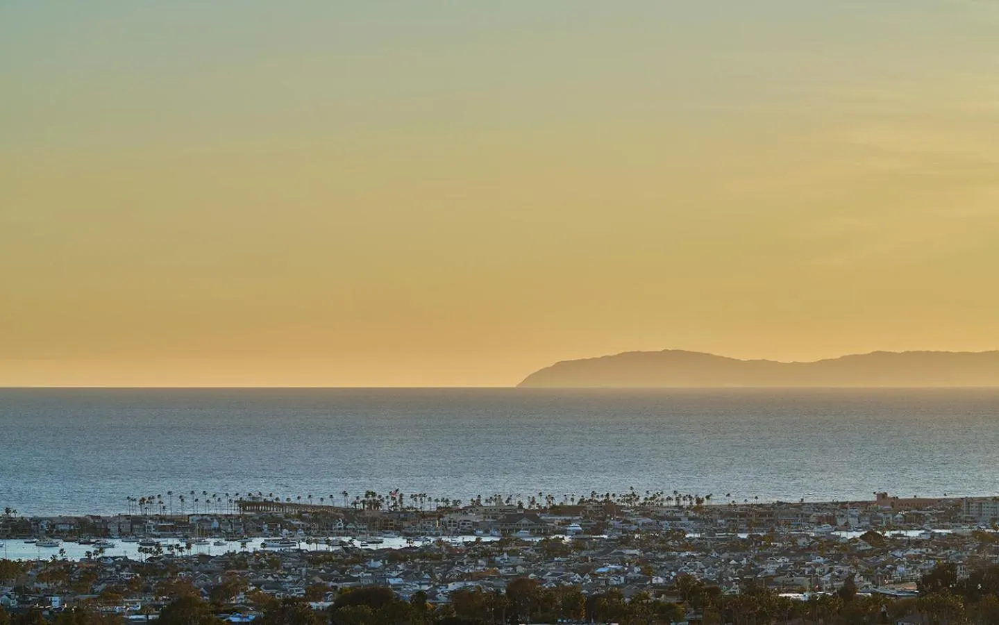 Natural landscape in Pendry Newport Beach