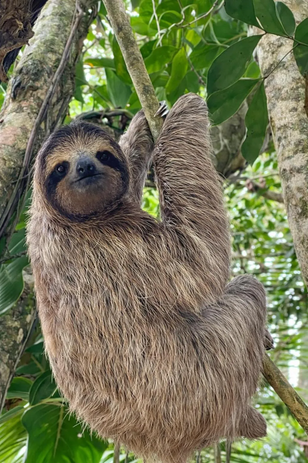 Activities in Akwaba Lodge Island Boutique Hotel