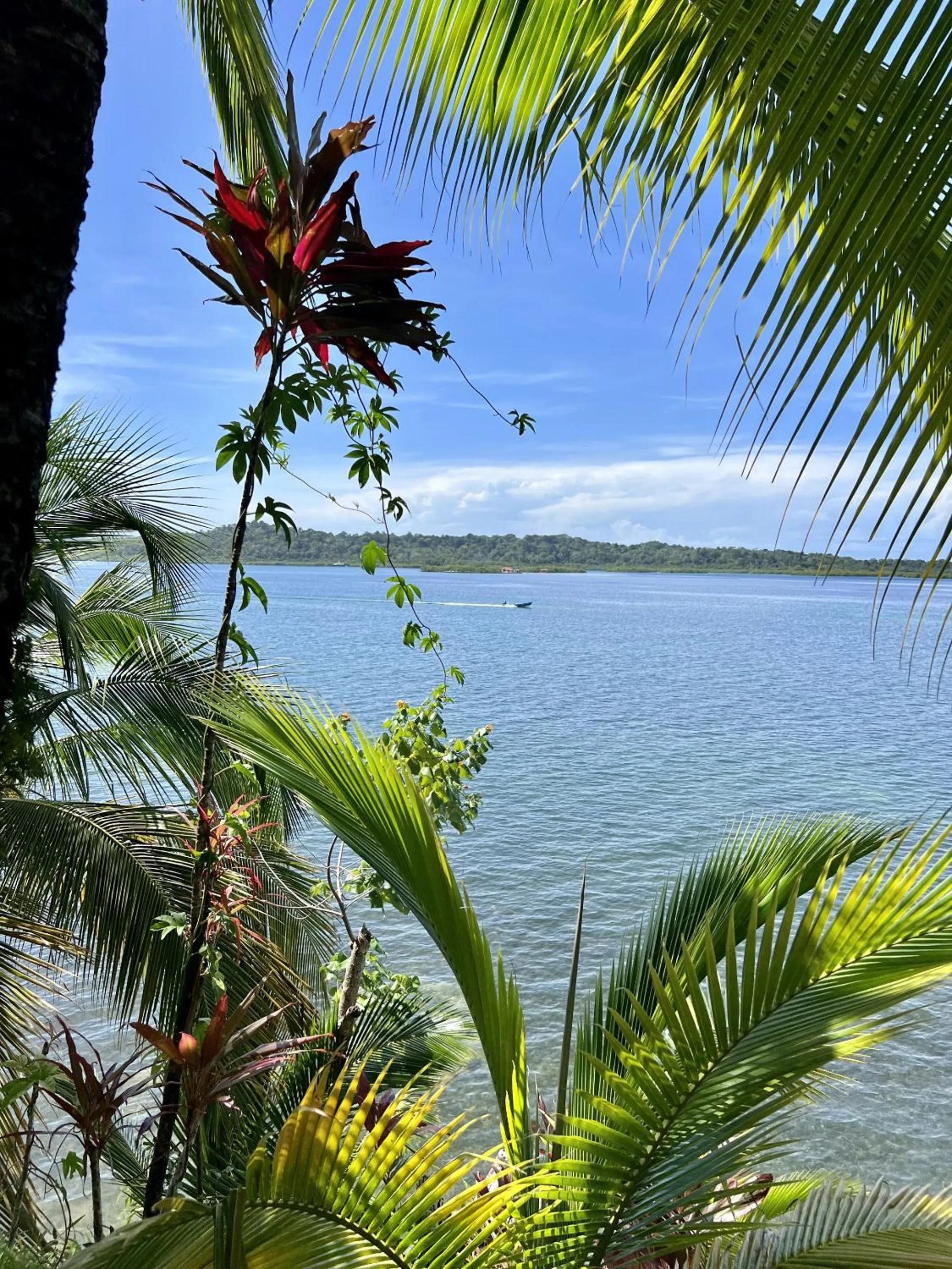 Beach in Akwaba Lodge