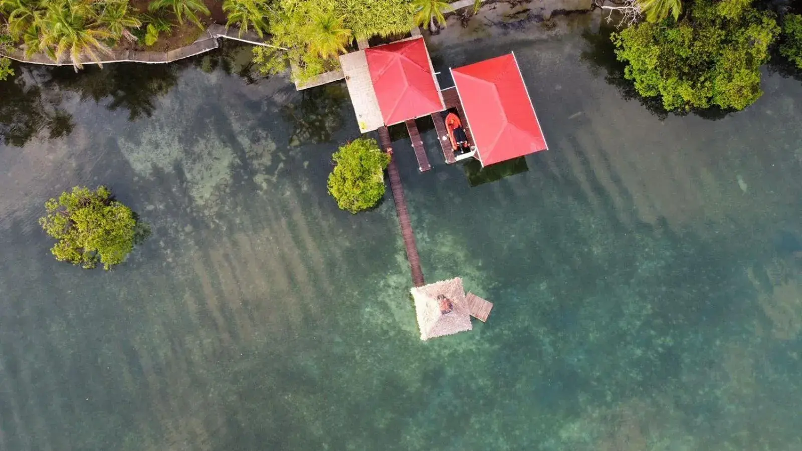 View (from property/room) in Akwaba Lodge View (from property/room) in Akwaba Lodge