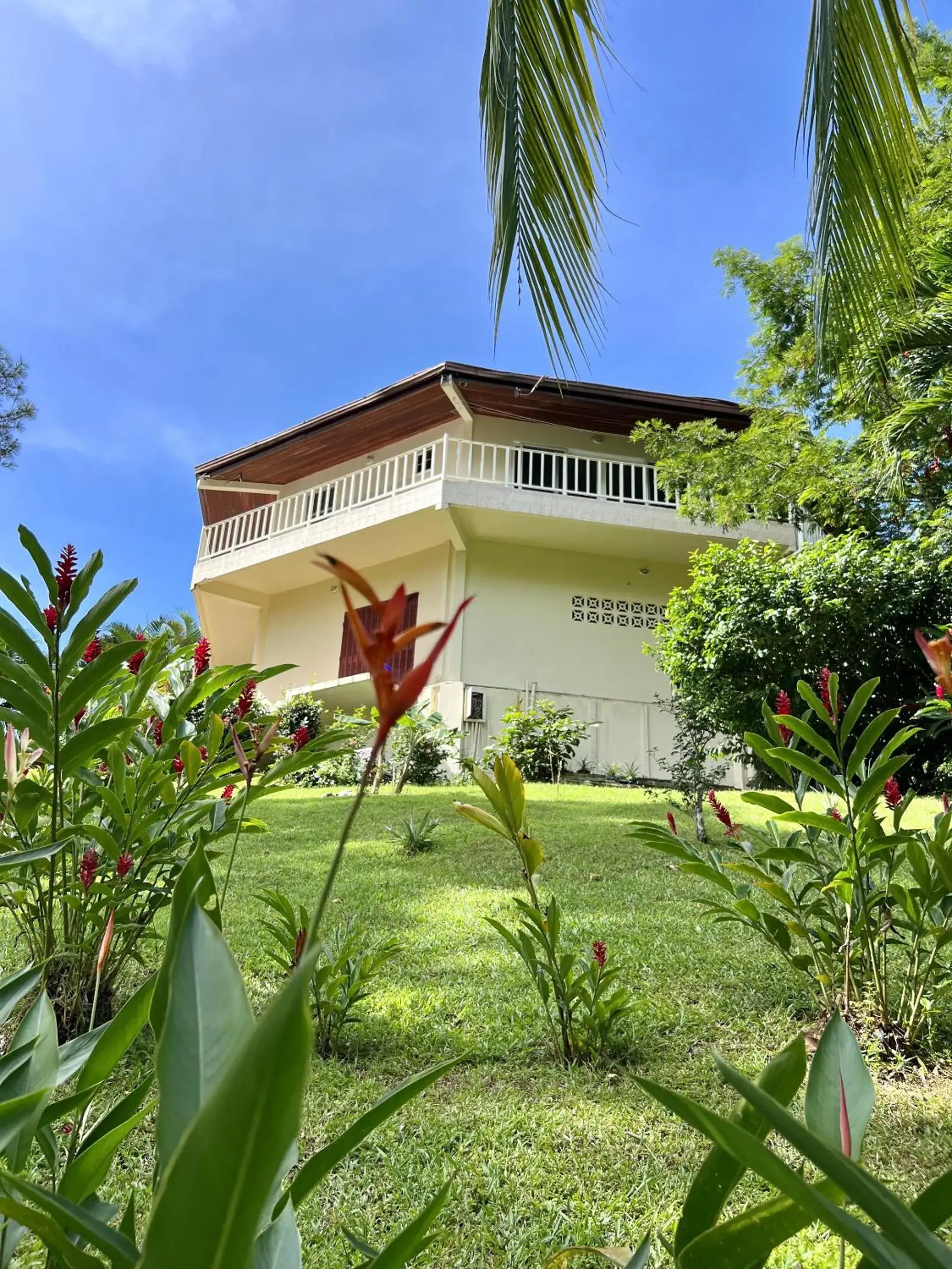 View (from property/room) in Akwaba Lodge View (from property/room) in Akwaba Lodge