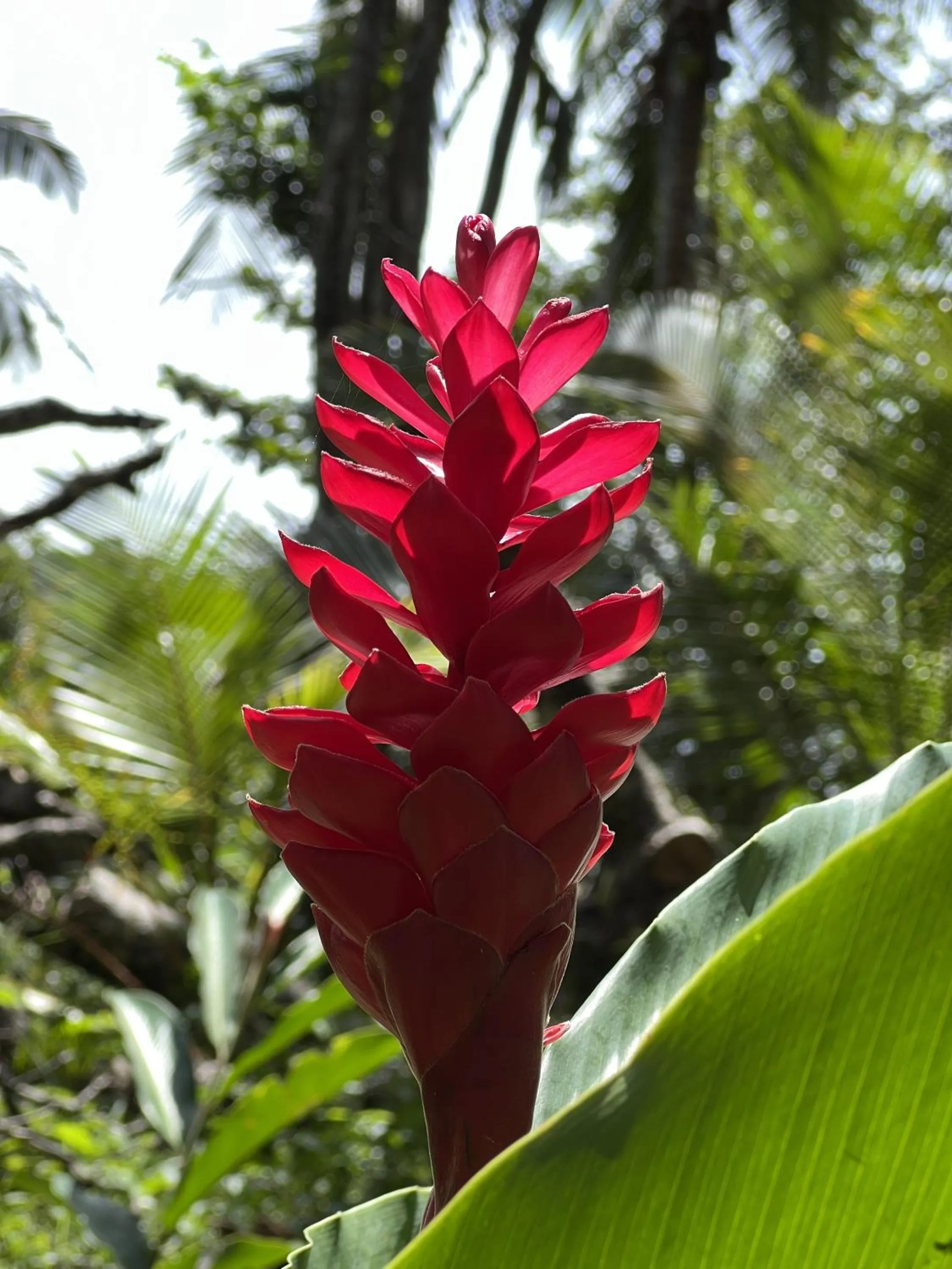 Natural landscape in Akwaba Lodge