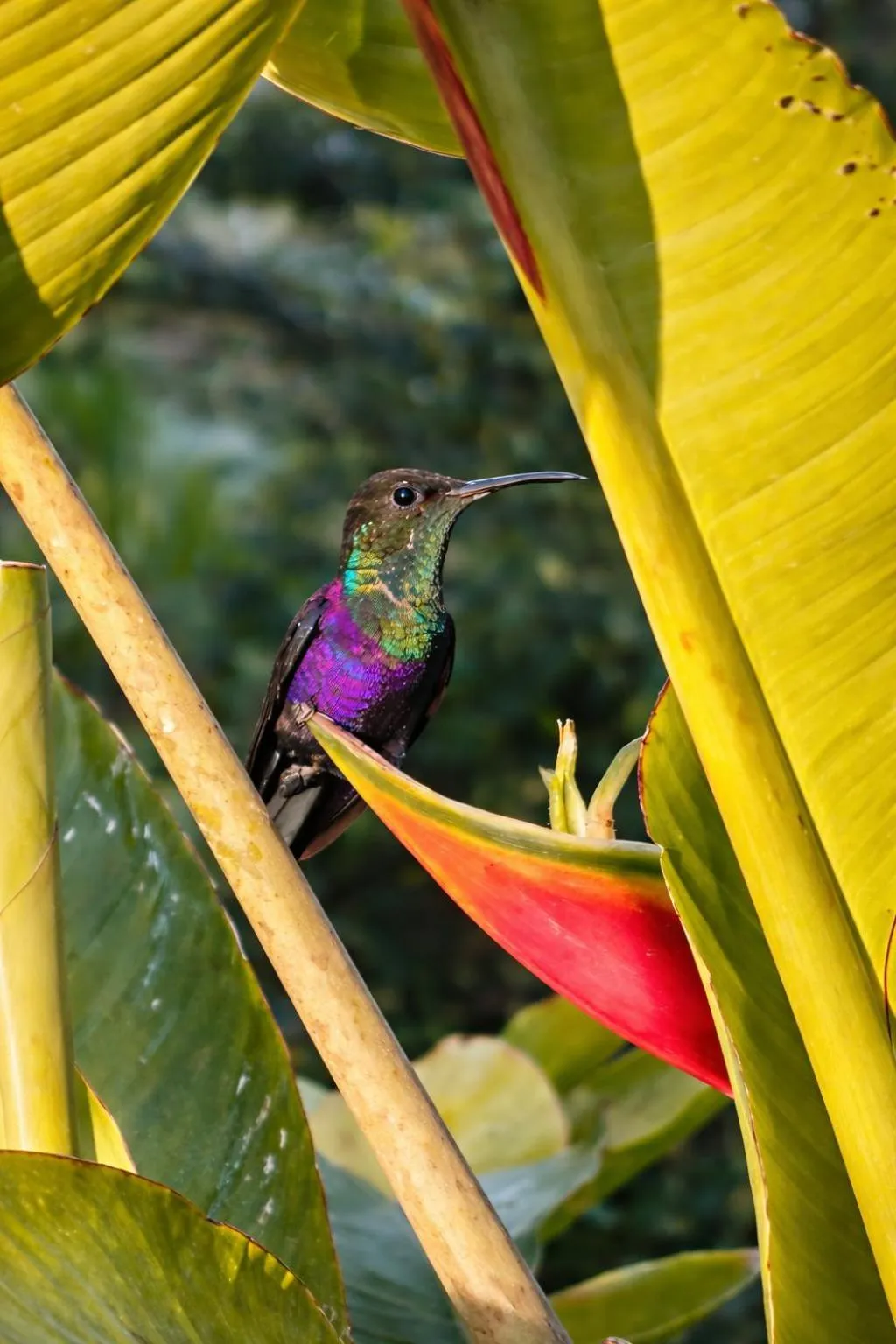 Activities in Akwaba Lodge Island Boutique Hotel