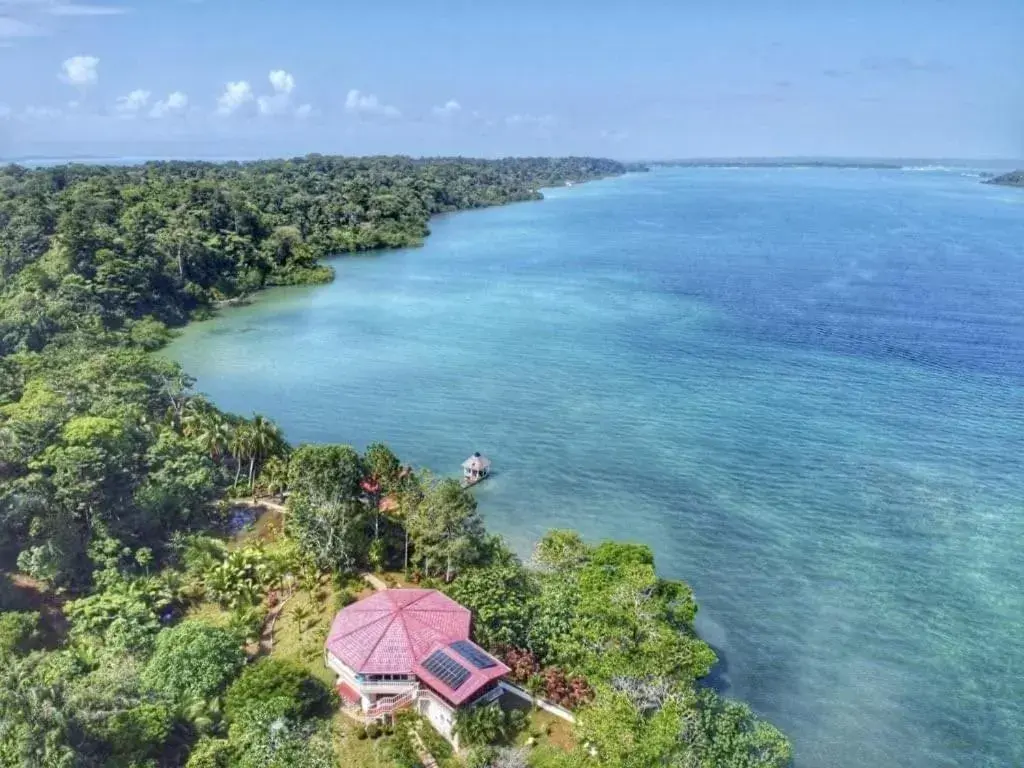 View (from property/room) in Akwaba Lodge View (from property/room) in Akwaba Lodge
