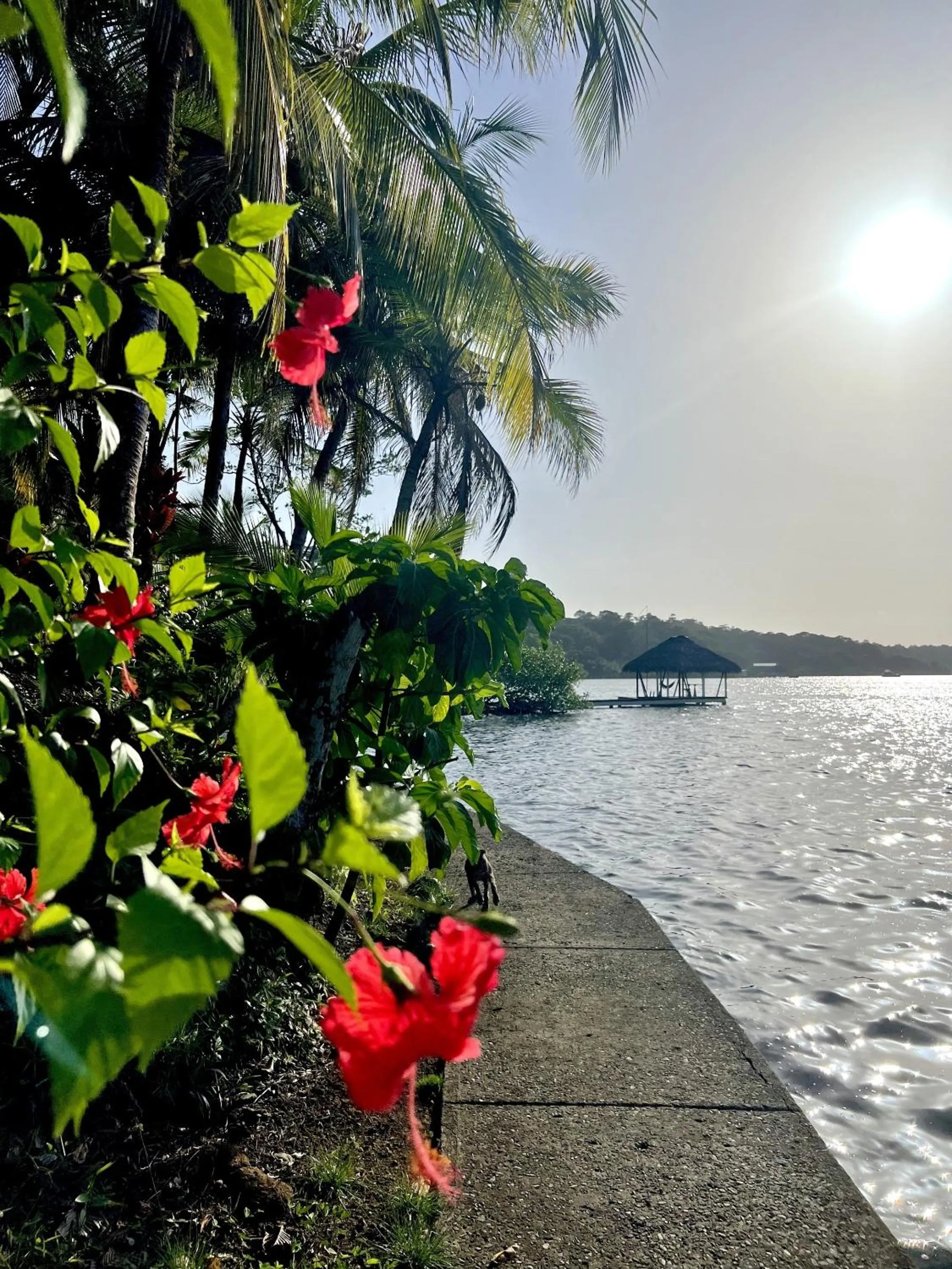 Beach in Akwaba Lodge