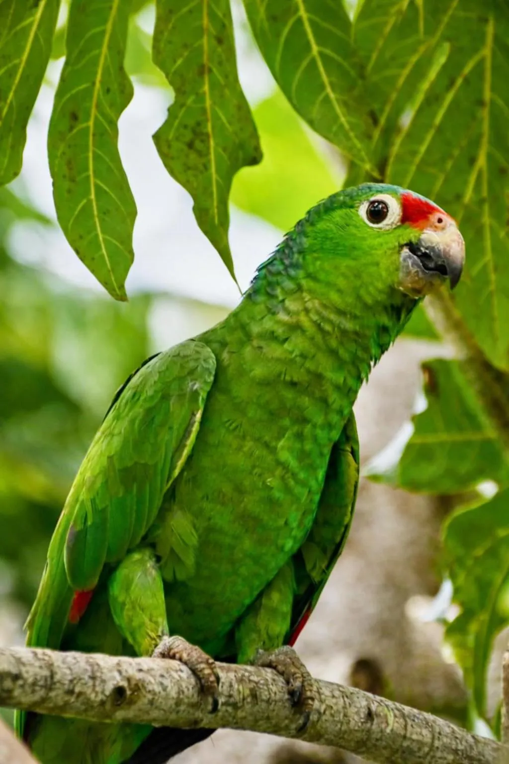 Activities in Akwaba Lodge Island Boutique Hotel