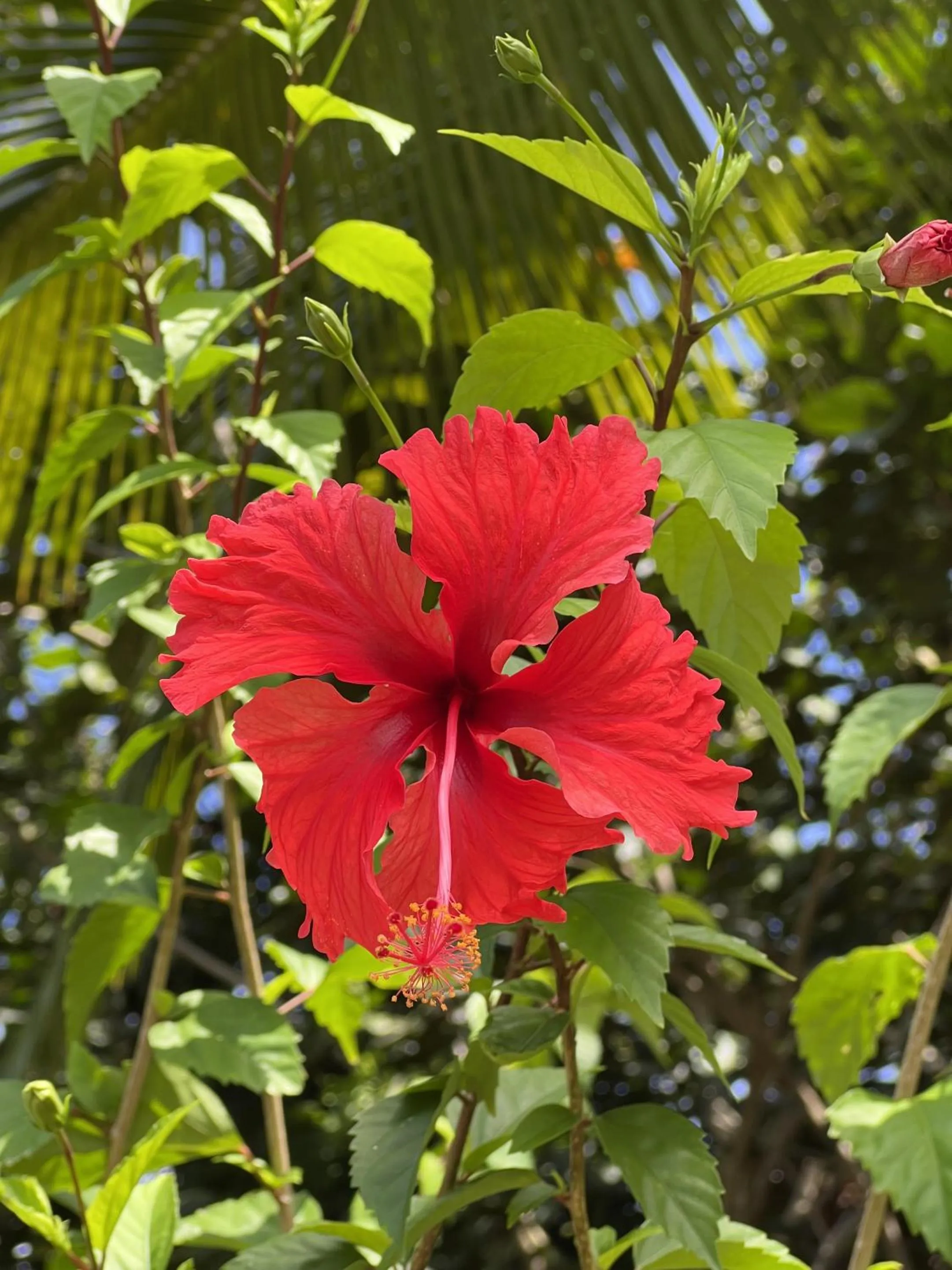 Natural landscape in Akwaba Lodge
