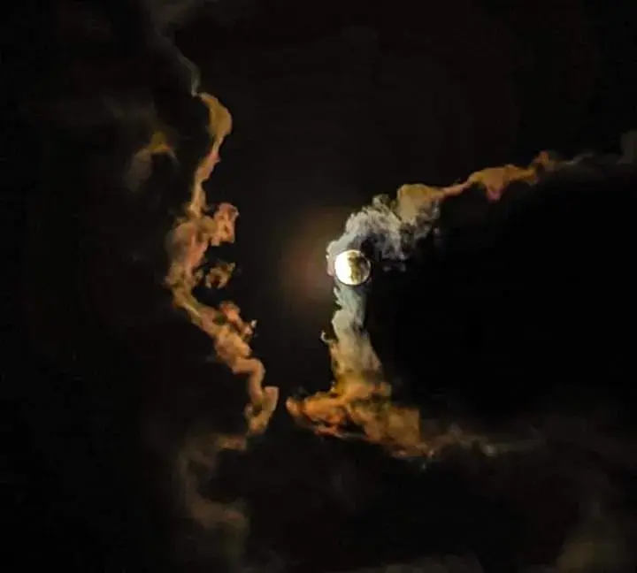 Deluxe Twin Room in Dear Villa House Deluxe Twin Room in Dear Villa House