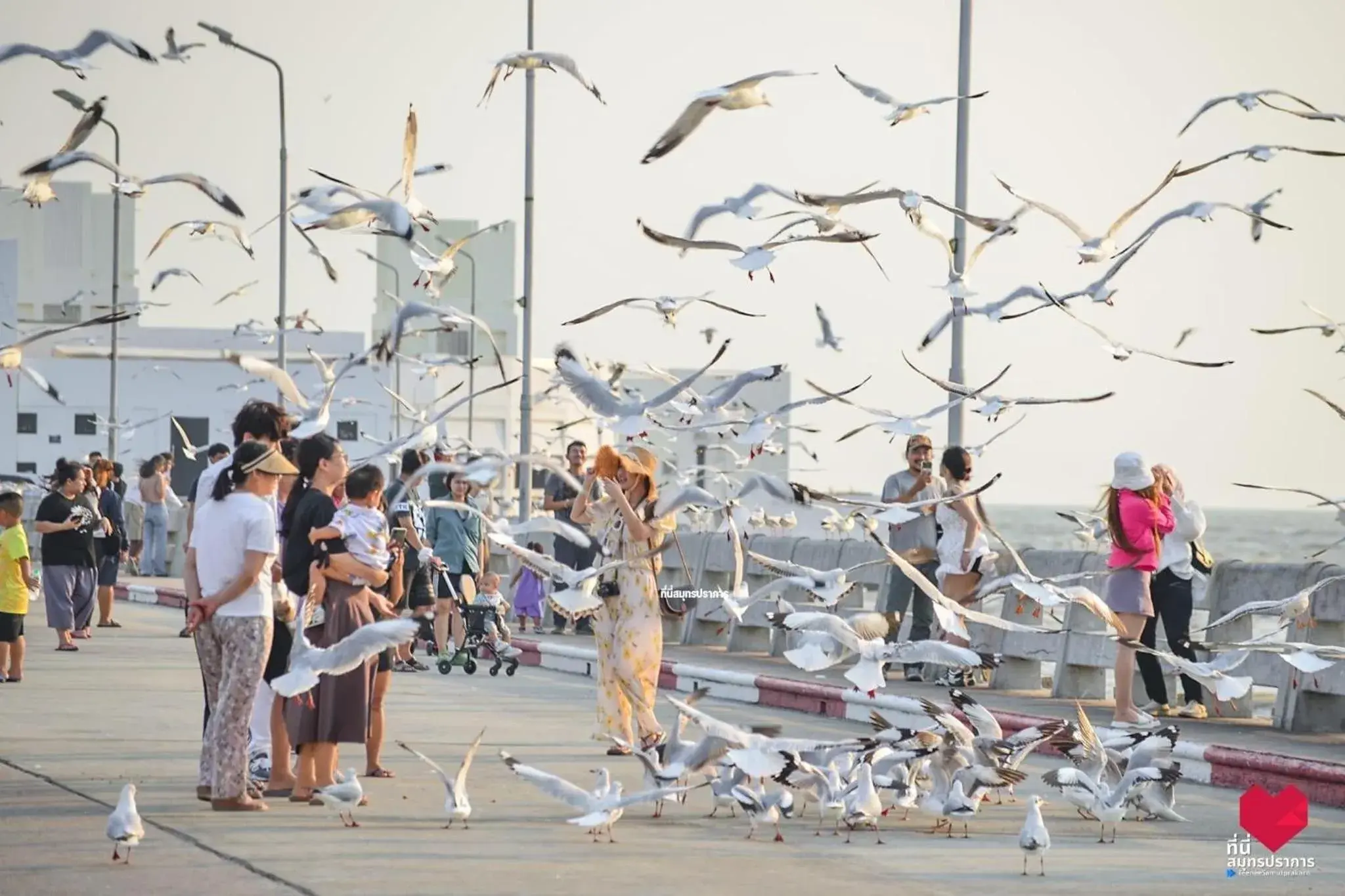 สถานตากอากาศบางปู สมุทปราการ Bang Pu Recreation Center Samut Prakan สถานตากอากาศบางปู สมุทปราการ Bang Pu Recreation Center Samut Prakan