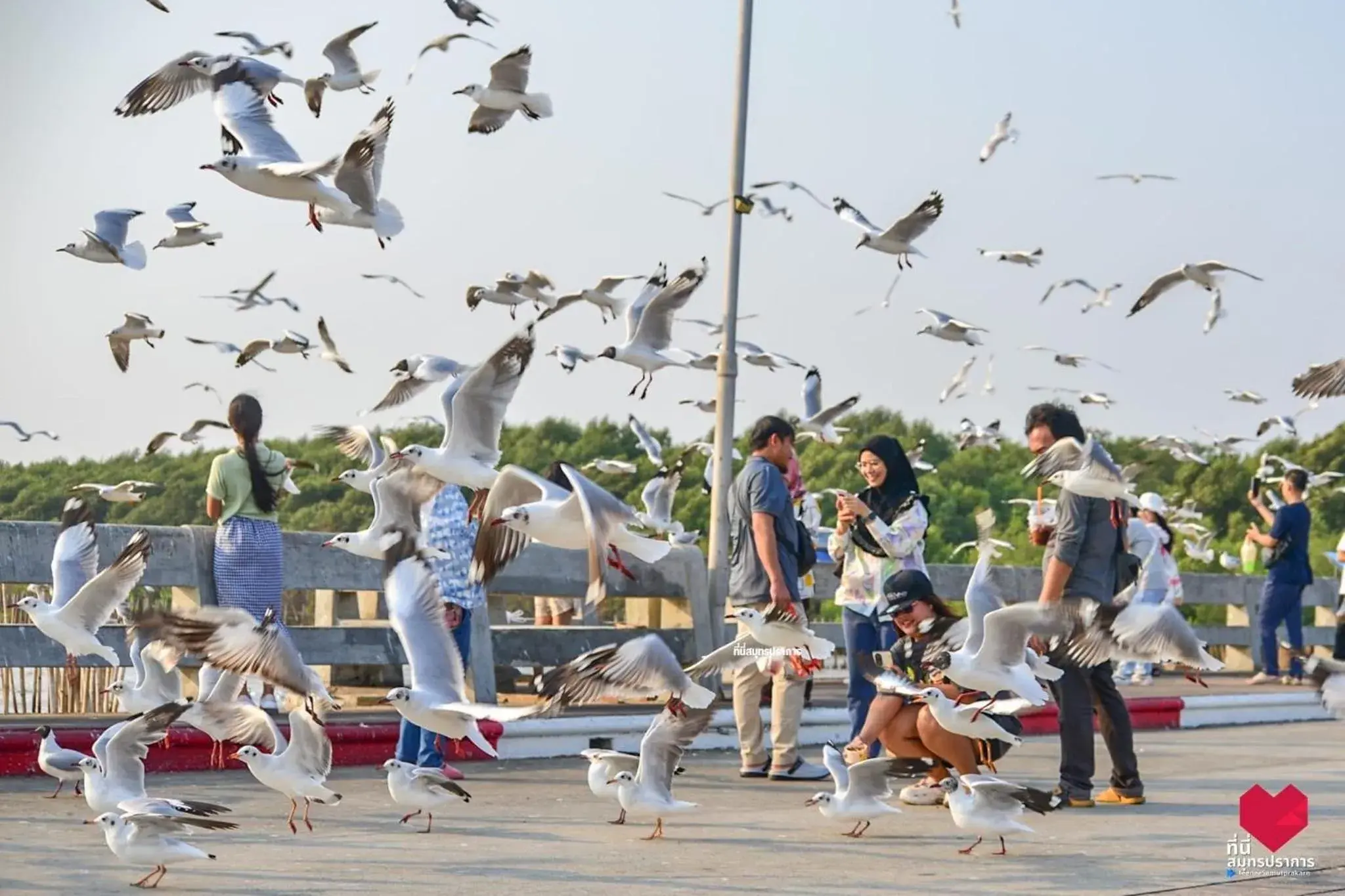สถานตากอากาศบางปู สมุทปราการ Bang Pu Recreation Center Samut Prakan สถานตากอากาศบางปู สมุทปราการ Bang Pu Recreation Center Samut Prakan