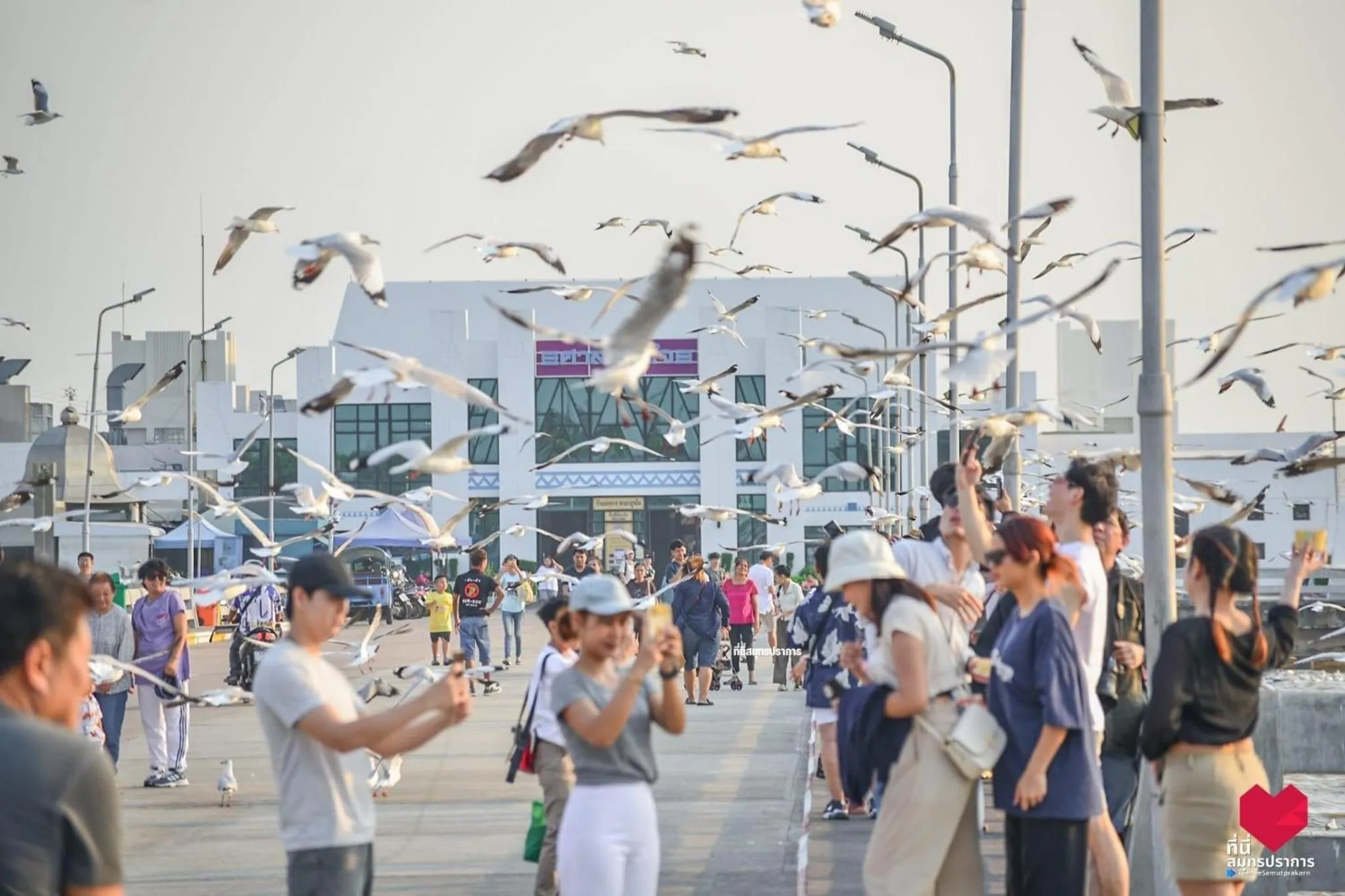 สถานตากอากาศบางปู สมุทปราการ Bang Pu Recreation Center Samut Prakan