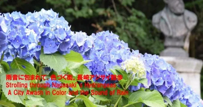 Oyado Kinokuniya Daikokumachi