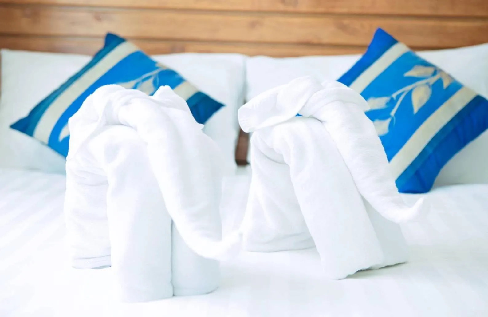 Bed in Abby's House Hotel