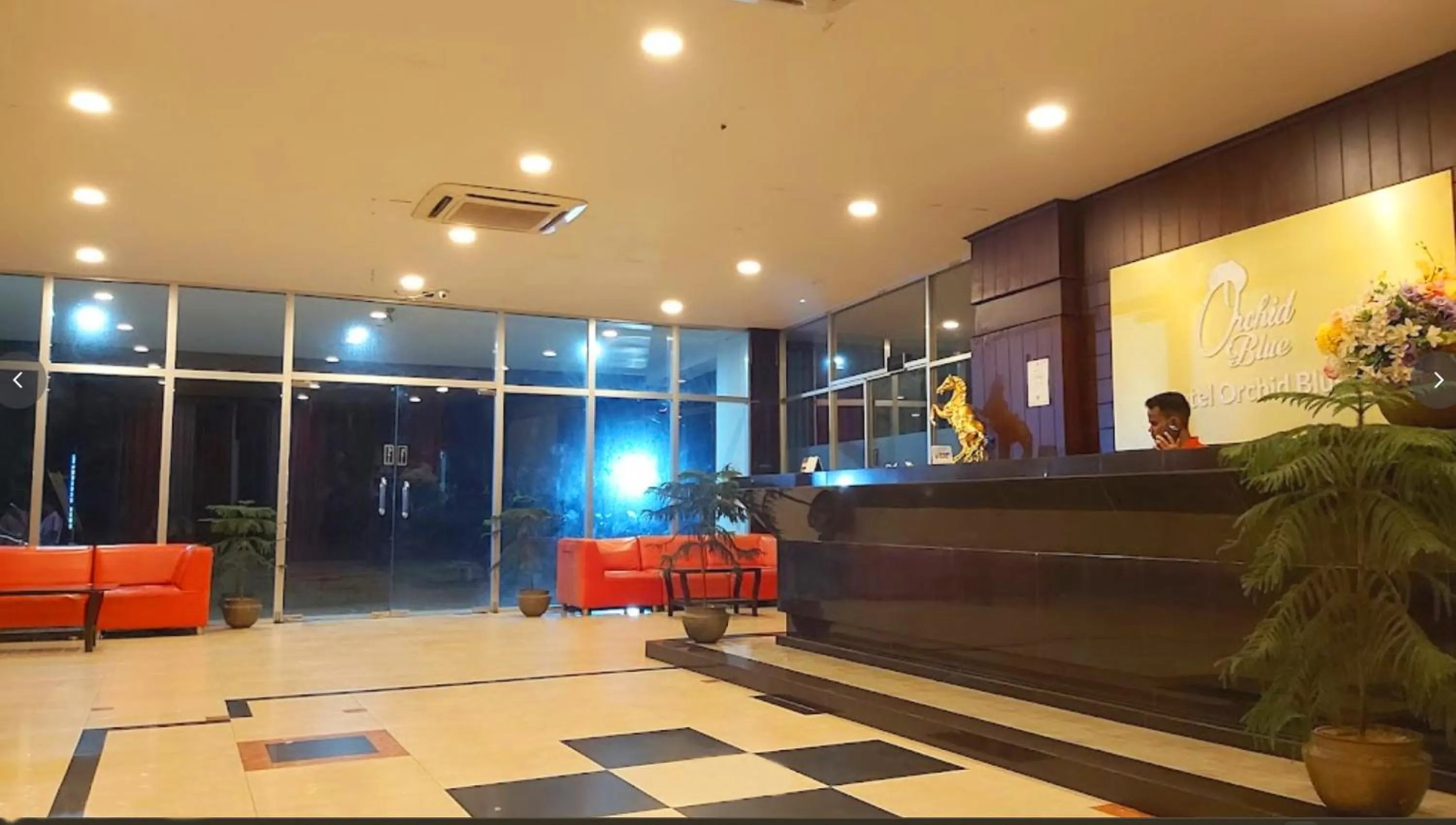 Lobby or reception in Hotel Orchid Blue