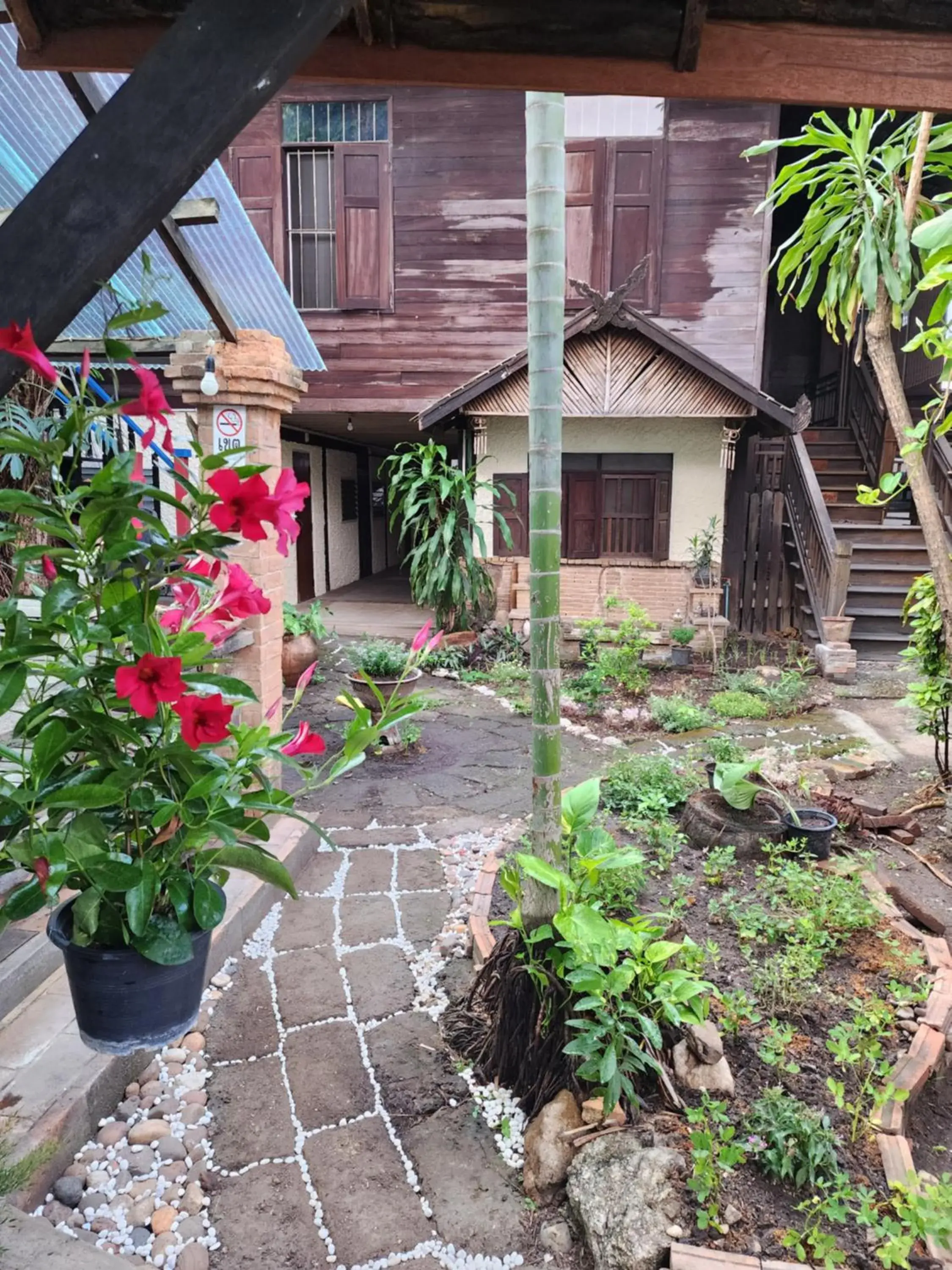 Budget Twin Room - single occupancy in Cozy Nest CNX Budget Twin Room - single occupancy in Cozy Nest CNX