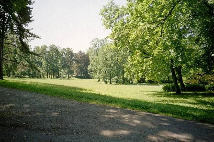 Hotel Sächsischer Hof
