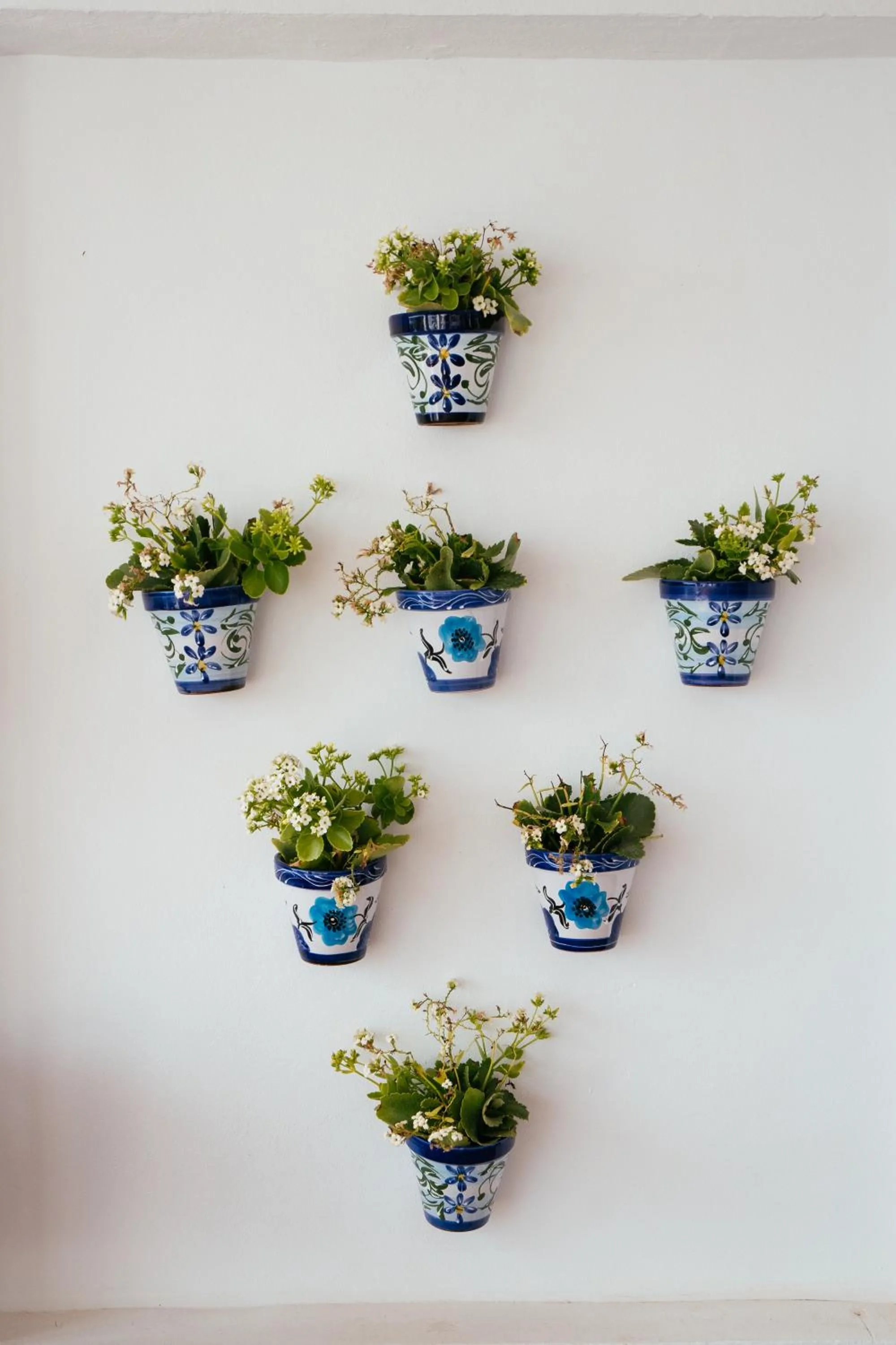 Balcony/Terrace in Hearts & Home