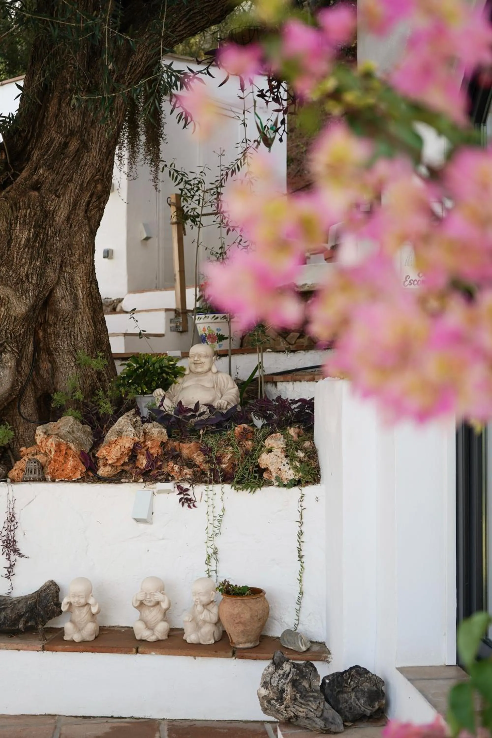 Balcony/Terrace in Hearts & Home