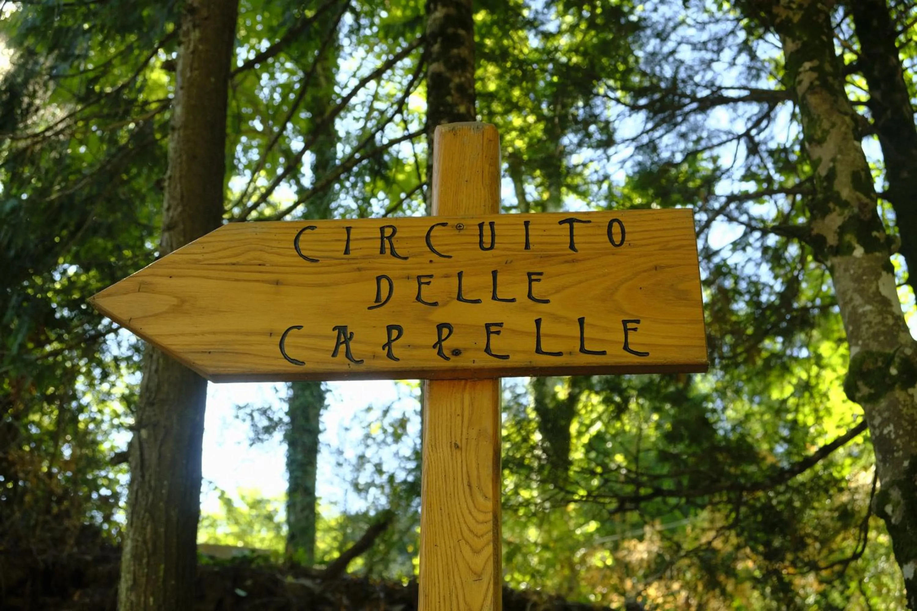 Hiking in Hotel Rifugio la Foresta