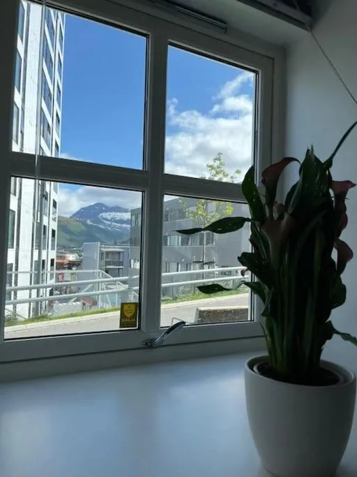 Cozy ground floor apartment