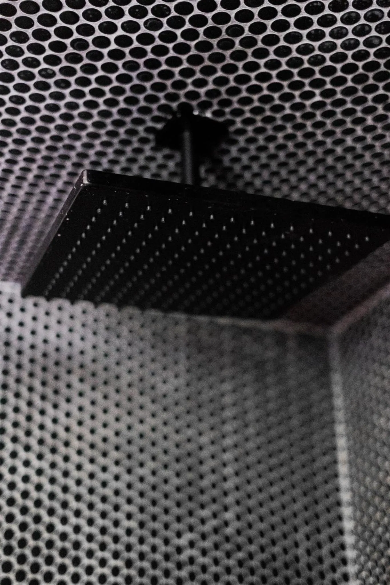 The Norsdale plus CMYK Motel on 10 acres in Phoenicia