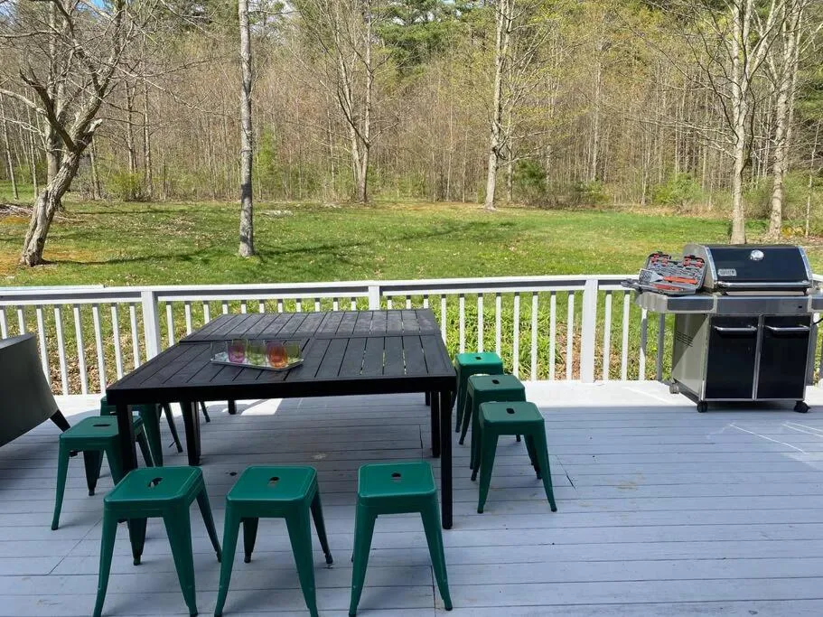 Patio in The Norsdale plus CMYK Motel on 10 acres in Phoenicia