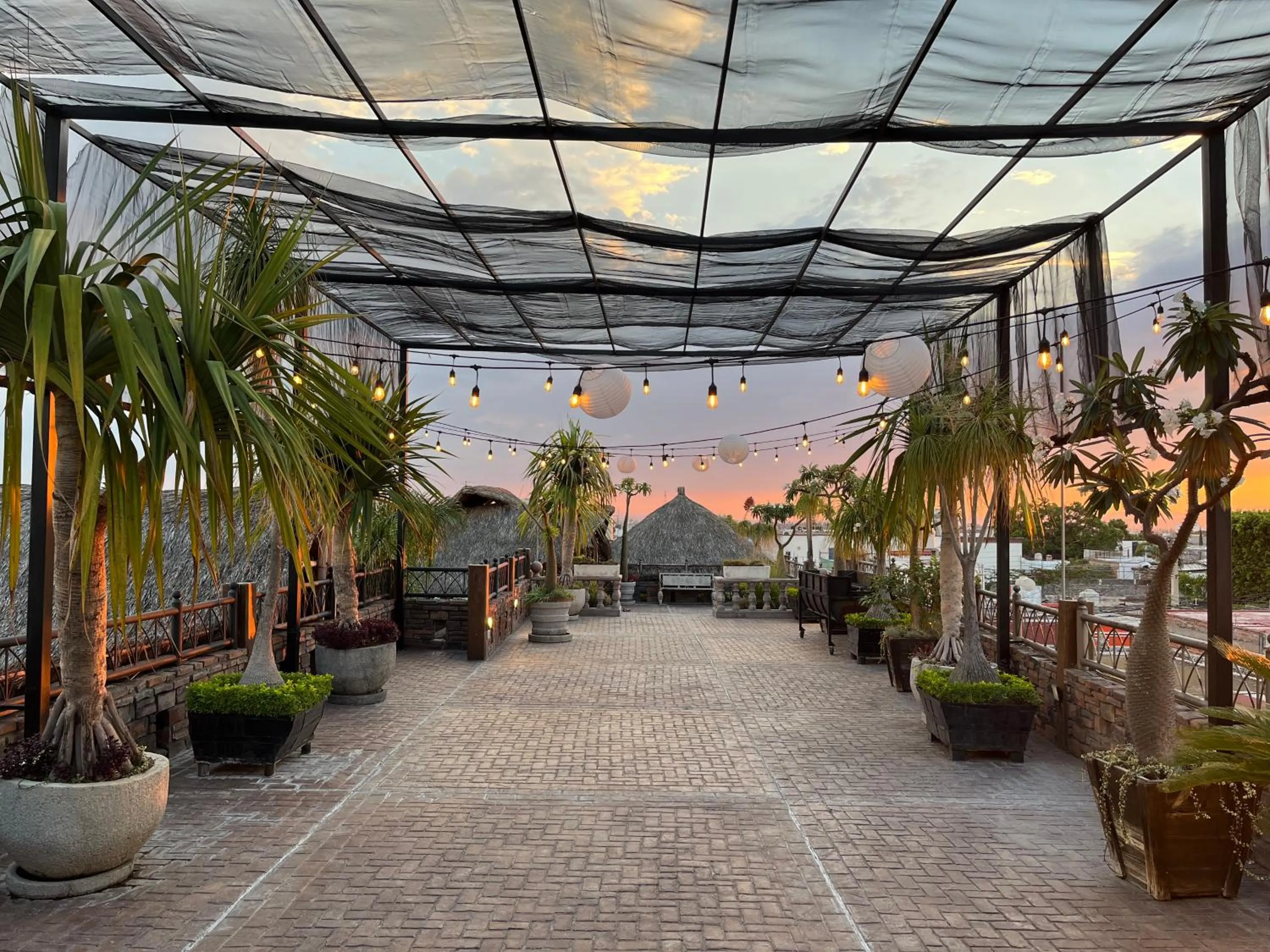 Balcony/Terrace in Hotel Casa Carmona