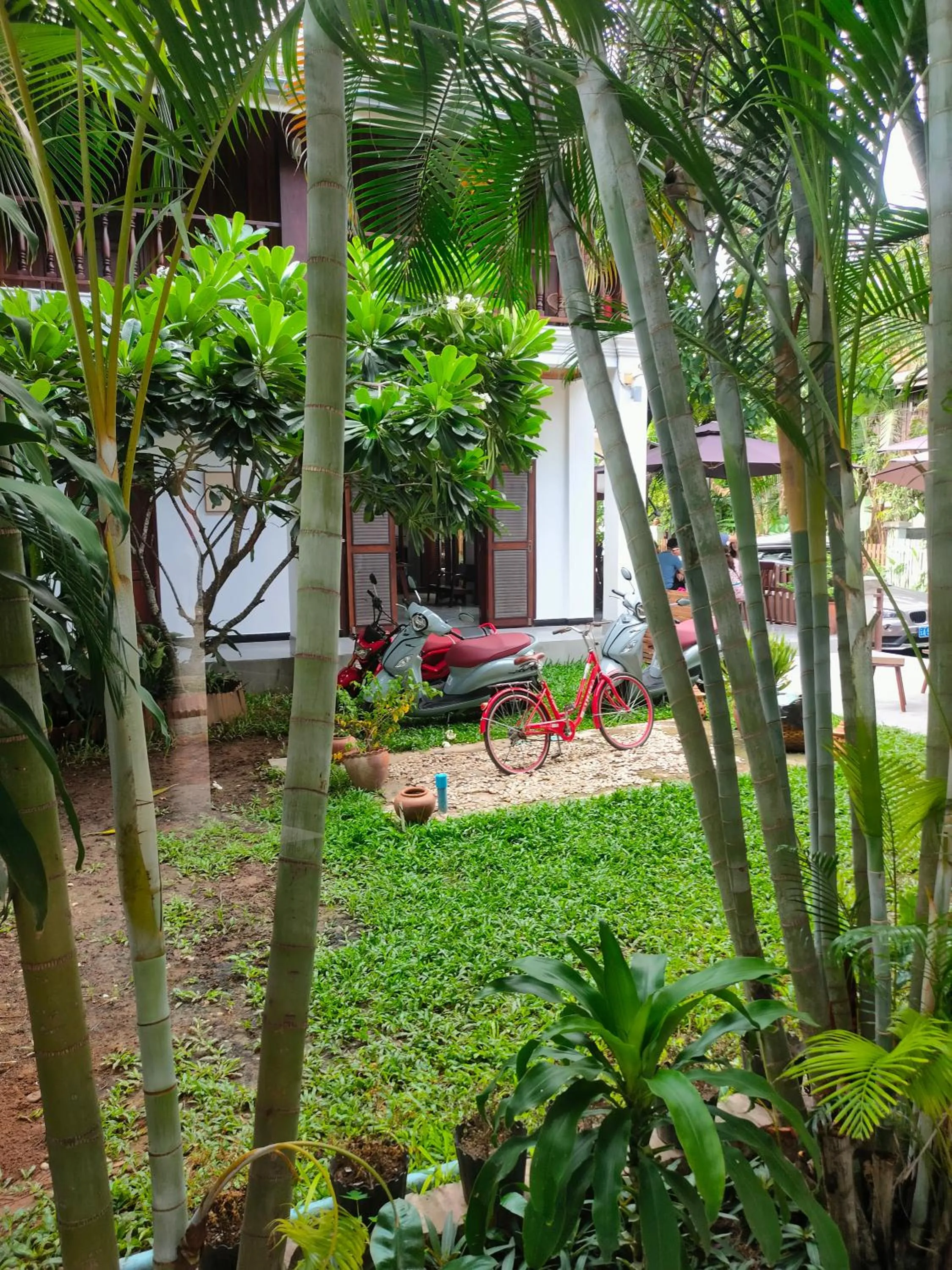 Garden view in Lotus Corner - Heritage B&B