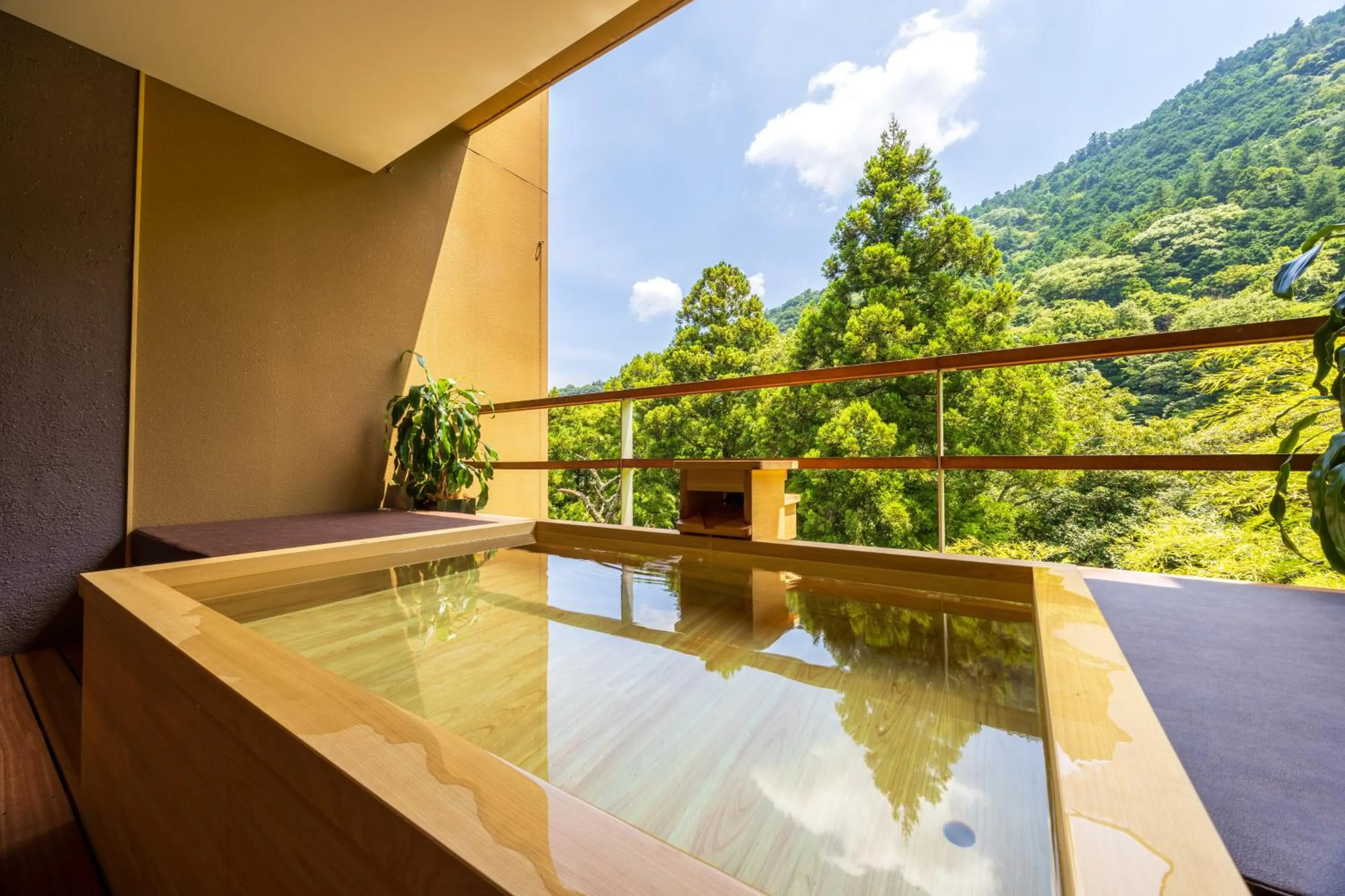 Natural landscape in Kinnotake Tonosawa (Adult Only)