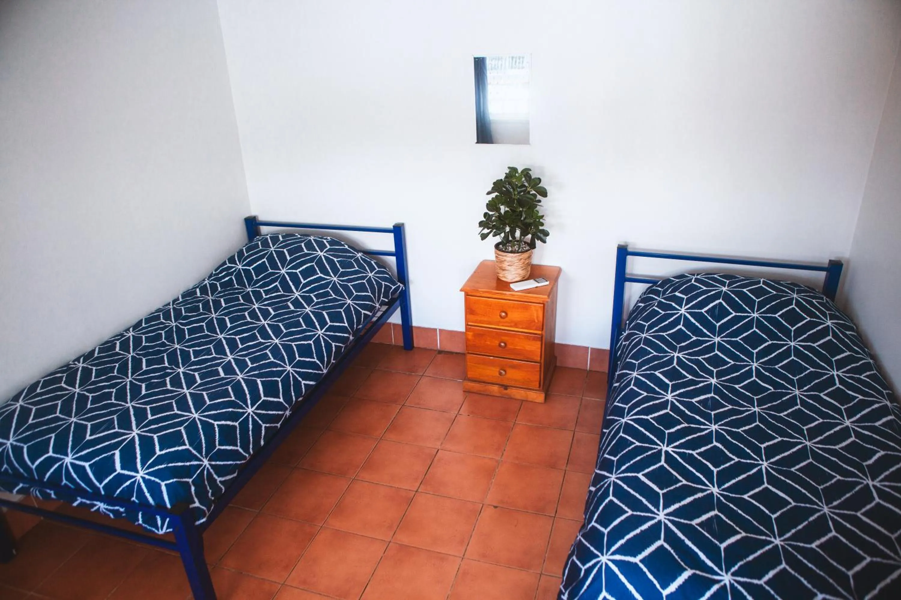 Bedroom in Budds In Surfers Backpackers