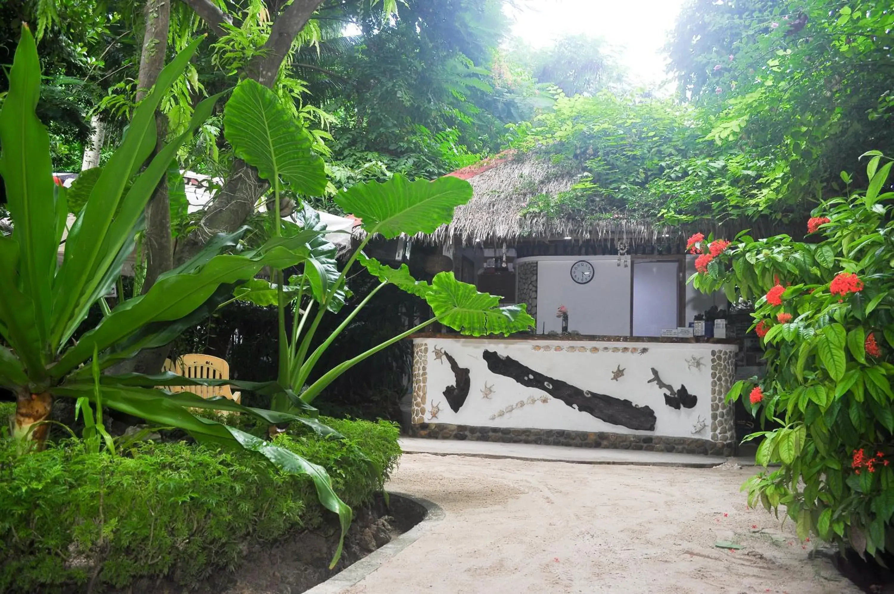 Lobby or reception in Cocoloco Beach Resort Lobby or reception in Cocoloco Beach Resort