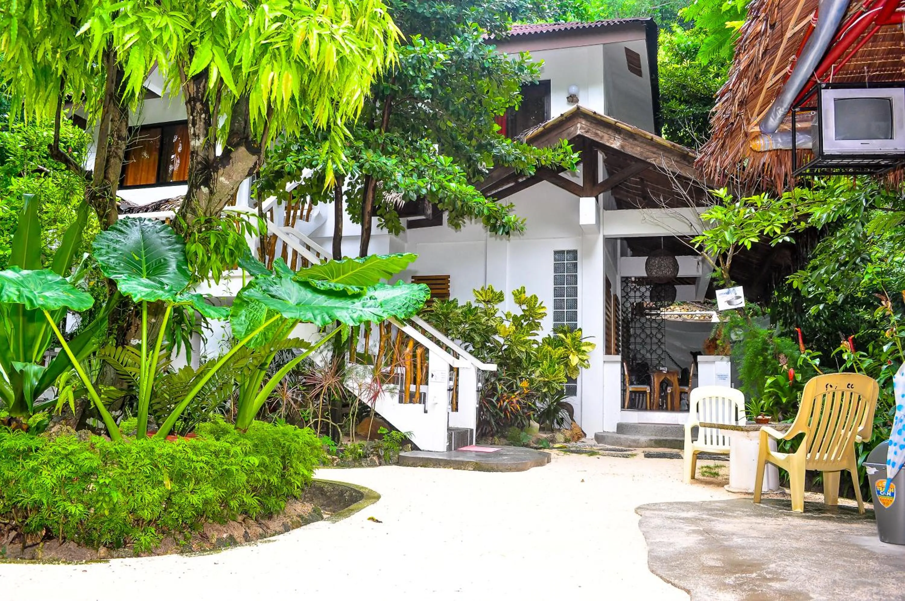 Area and facilities in Cocoloco Beach Resort