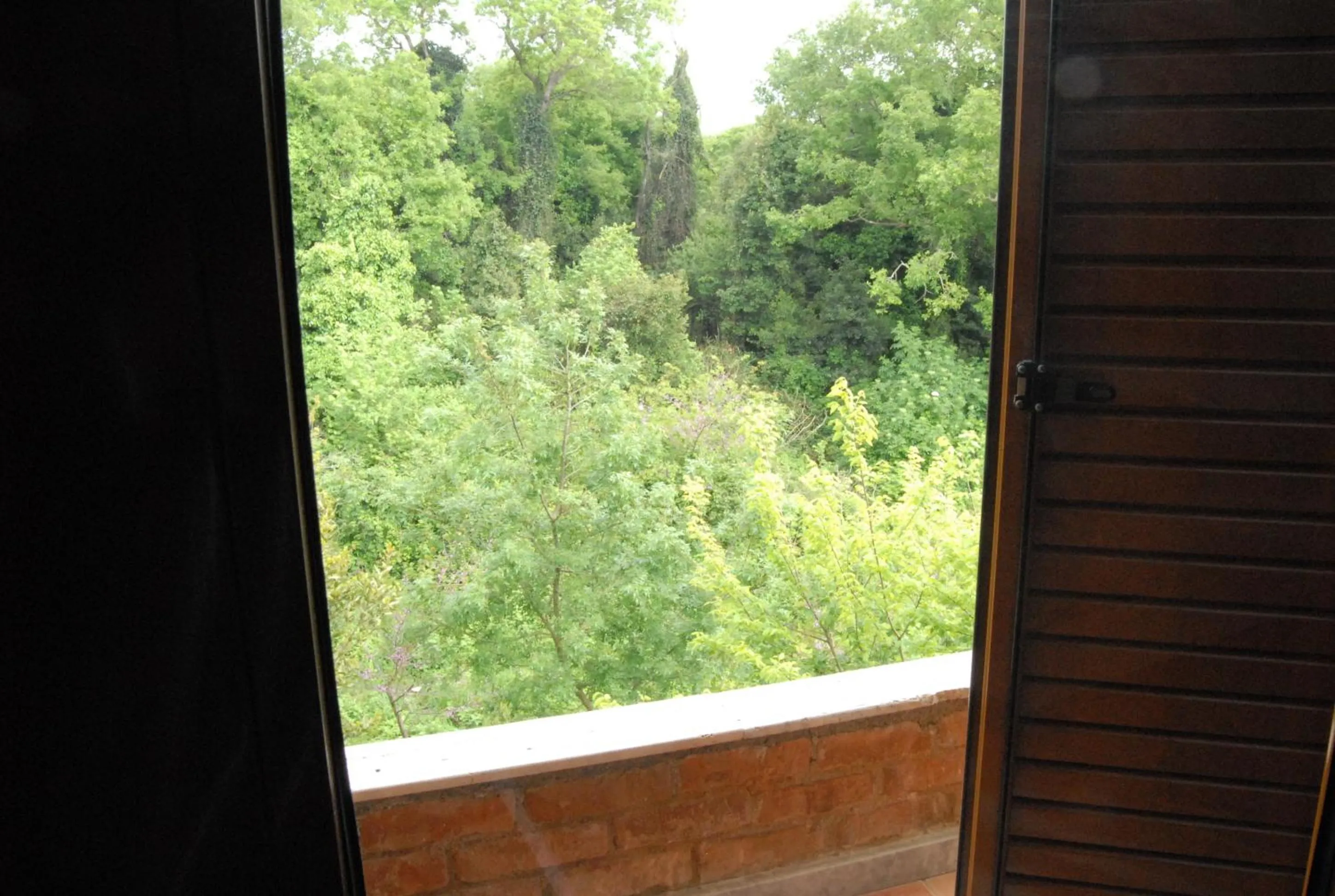 View (from property/room) in Hotel Livia