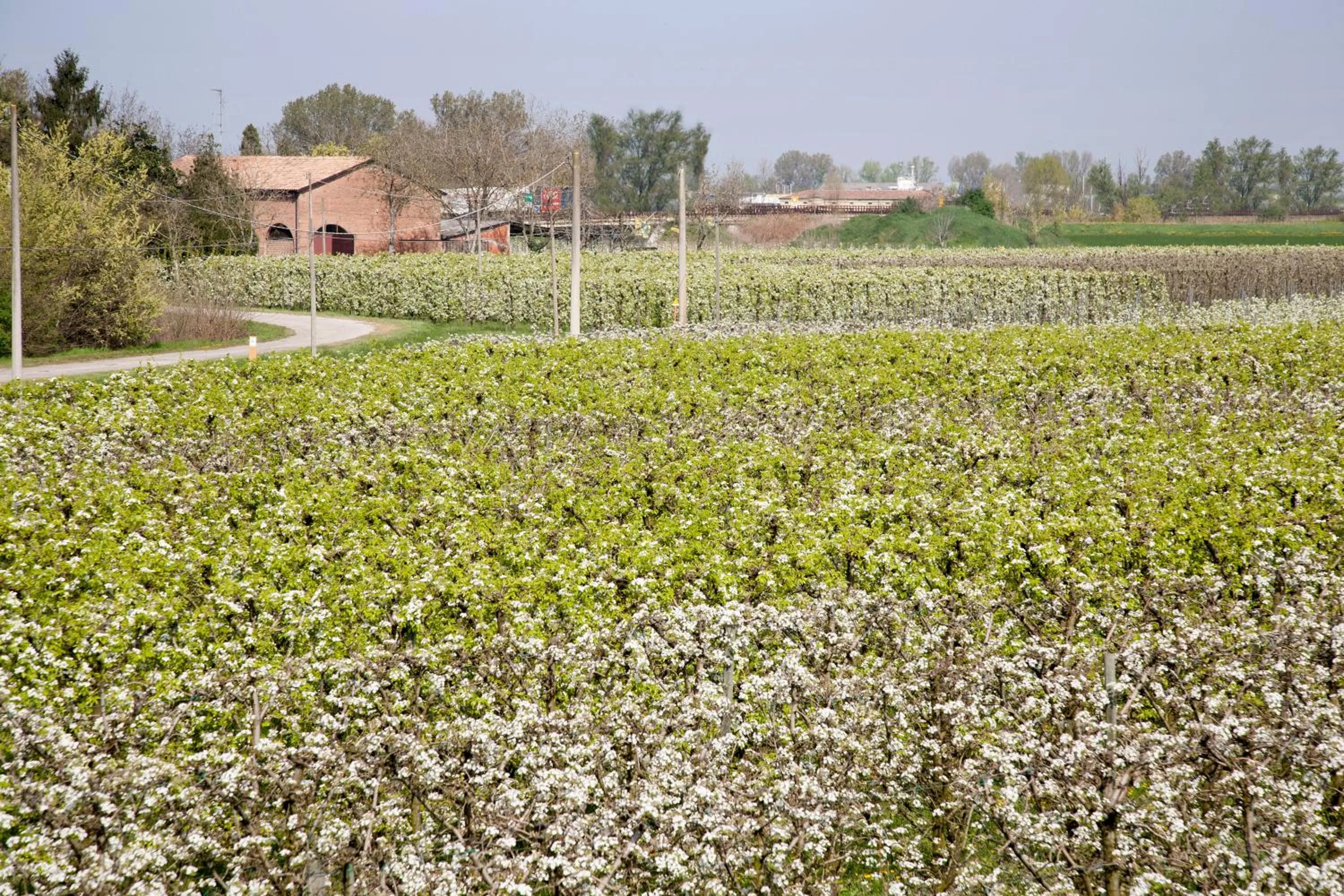 Bird's eye view in Agriturismo Dosso al Porto