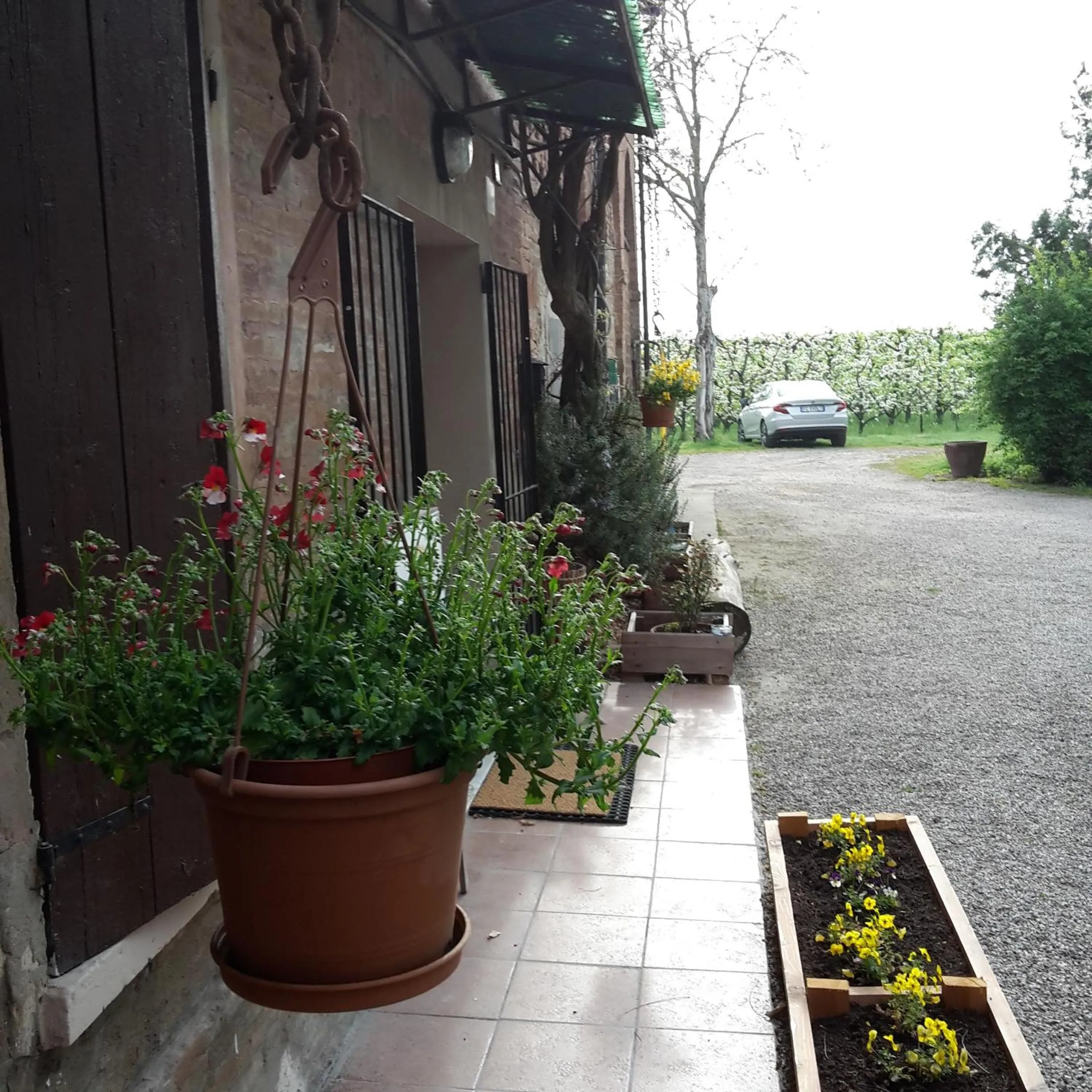Facade/entrance in Agriturismo Dosso al Porto