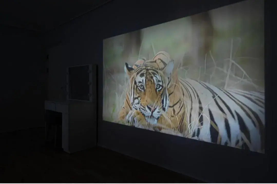 HOTEL mini HOTEL mini