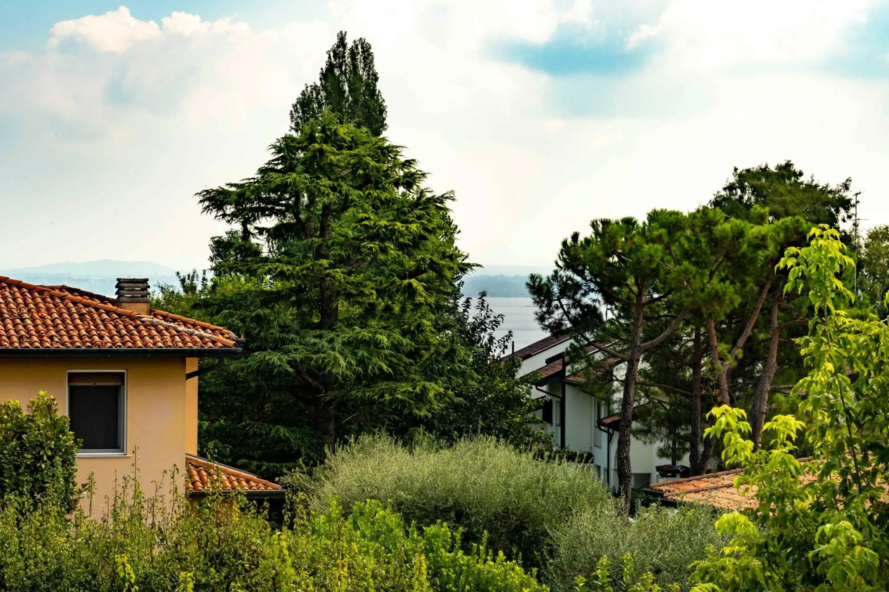 Casa di Loni Casa di Loni