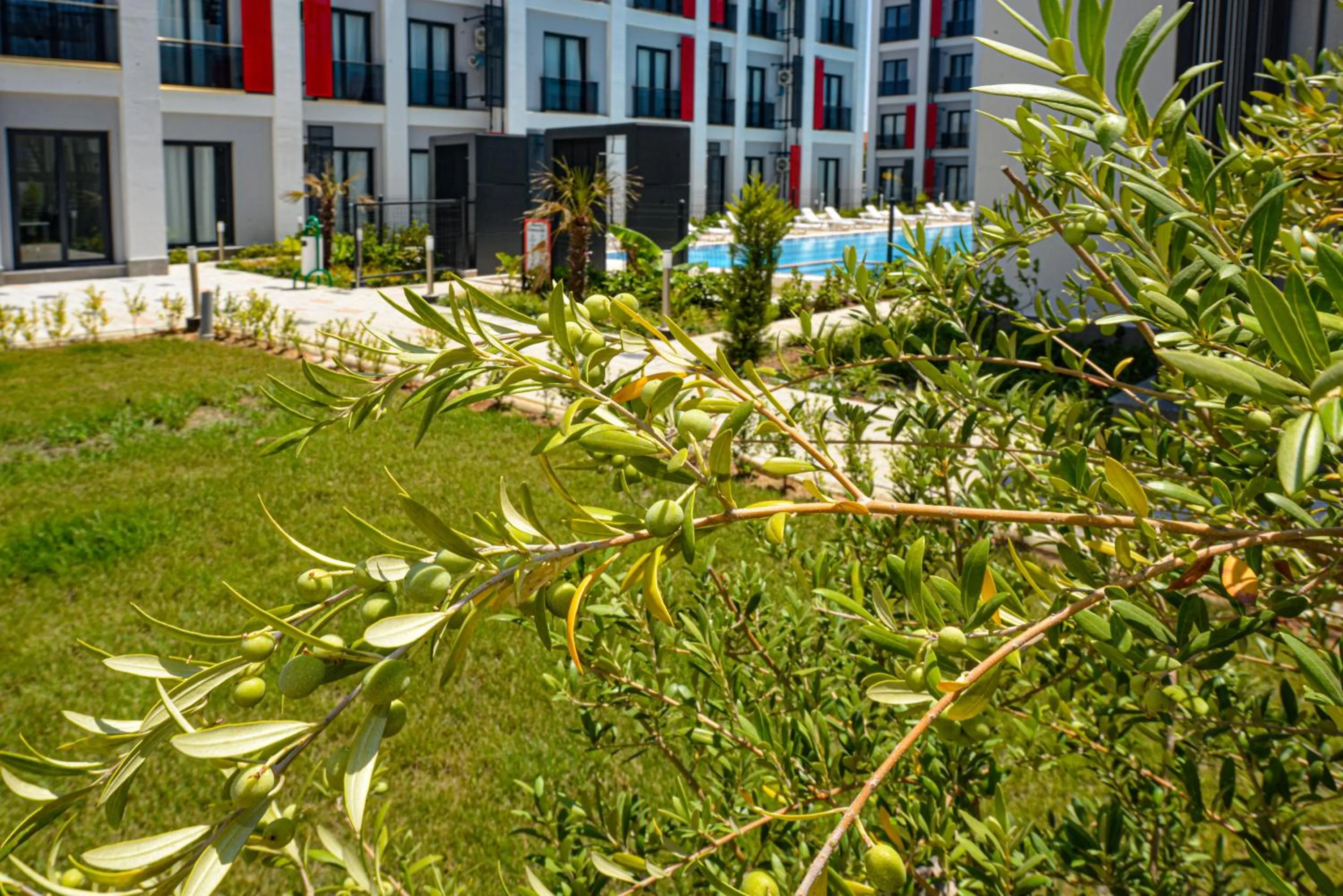 Garden in C Suites Antalia Airport