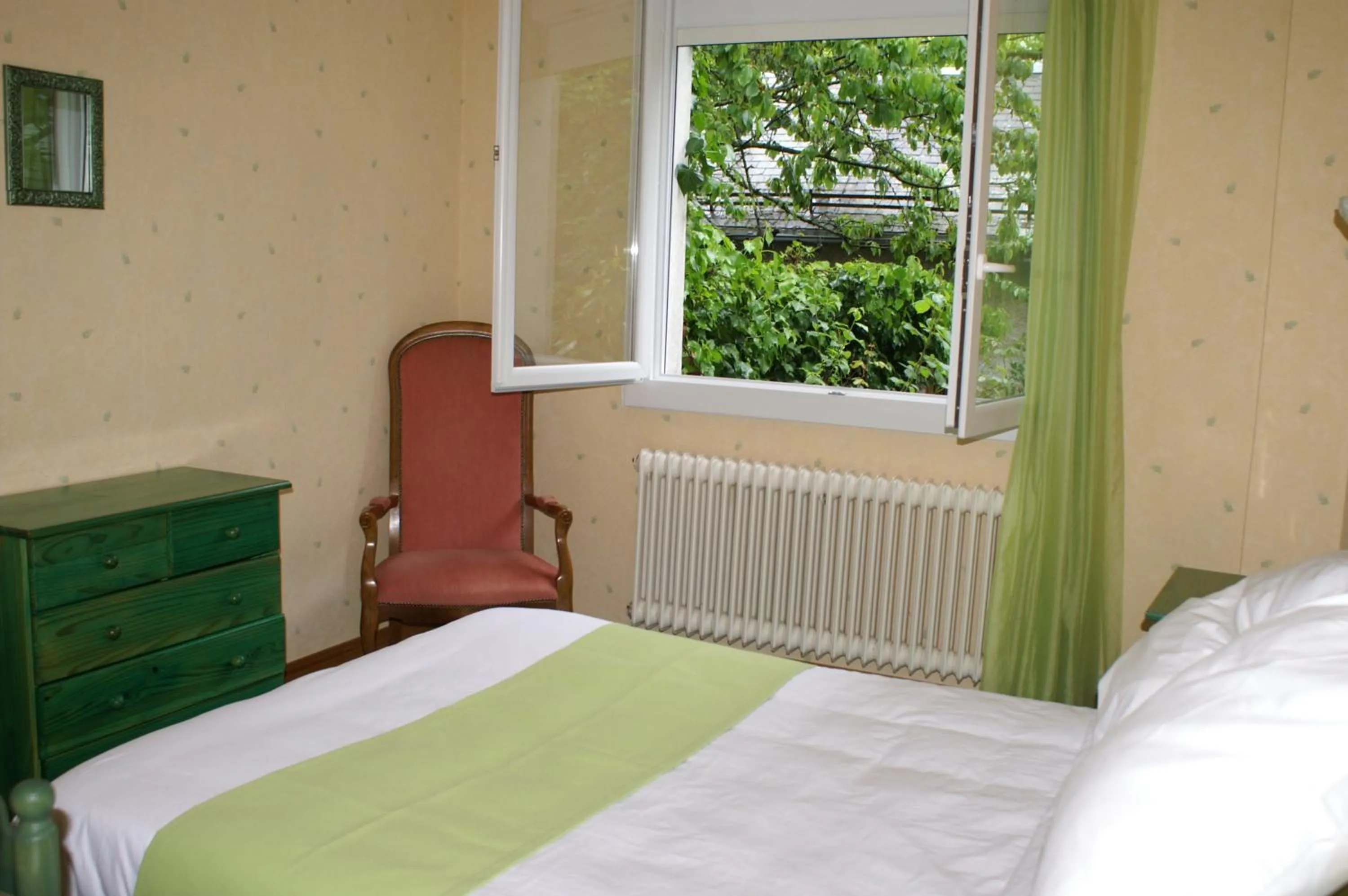 Double Room in Hôtel Céleste