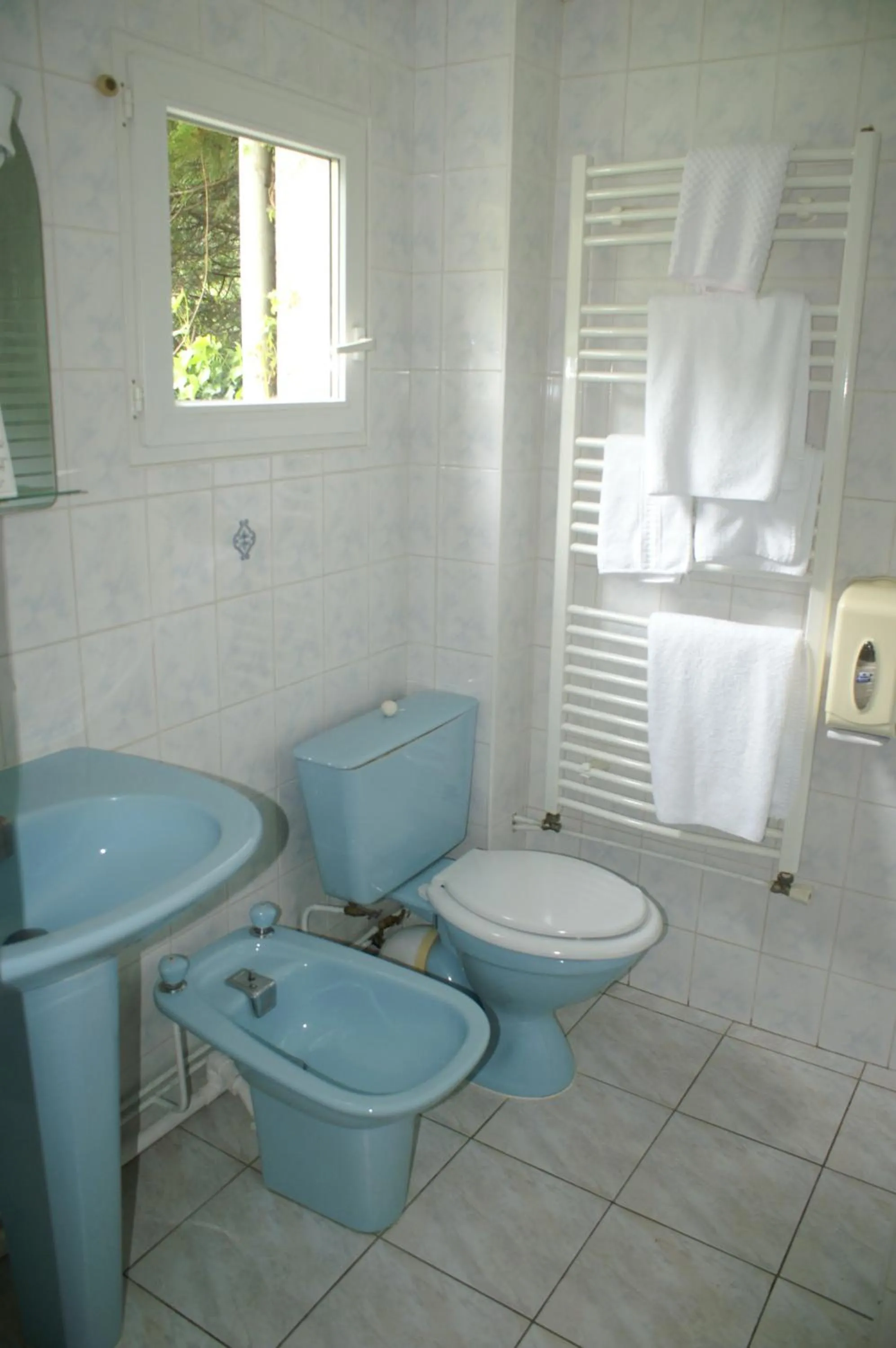 Double Room in Hôtel Céleste