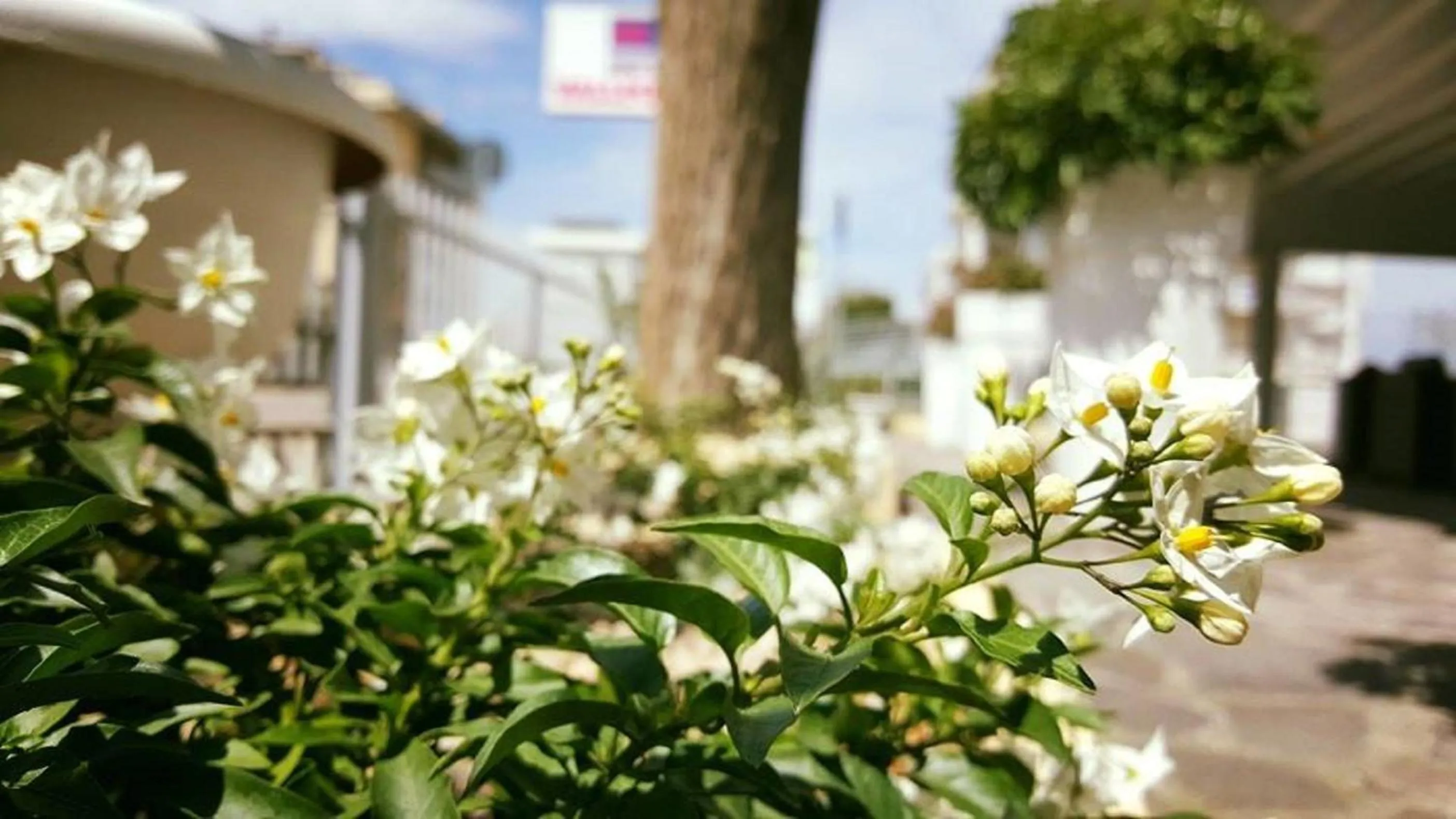 Decorative detail in Hotel Vallechiara