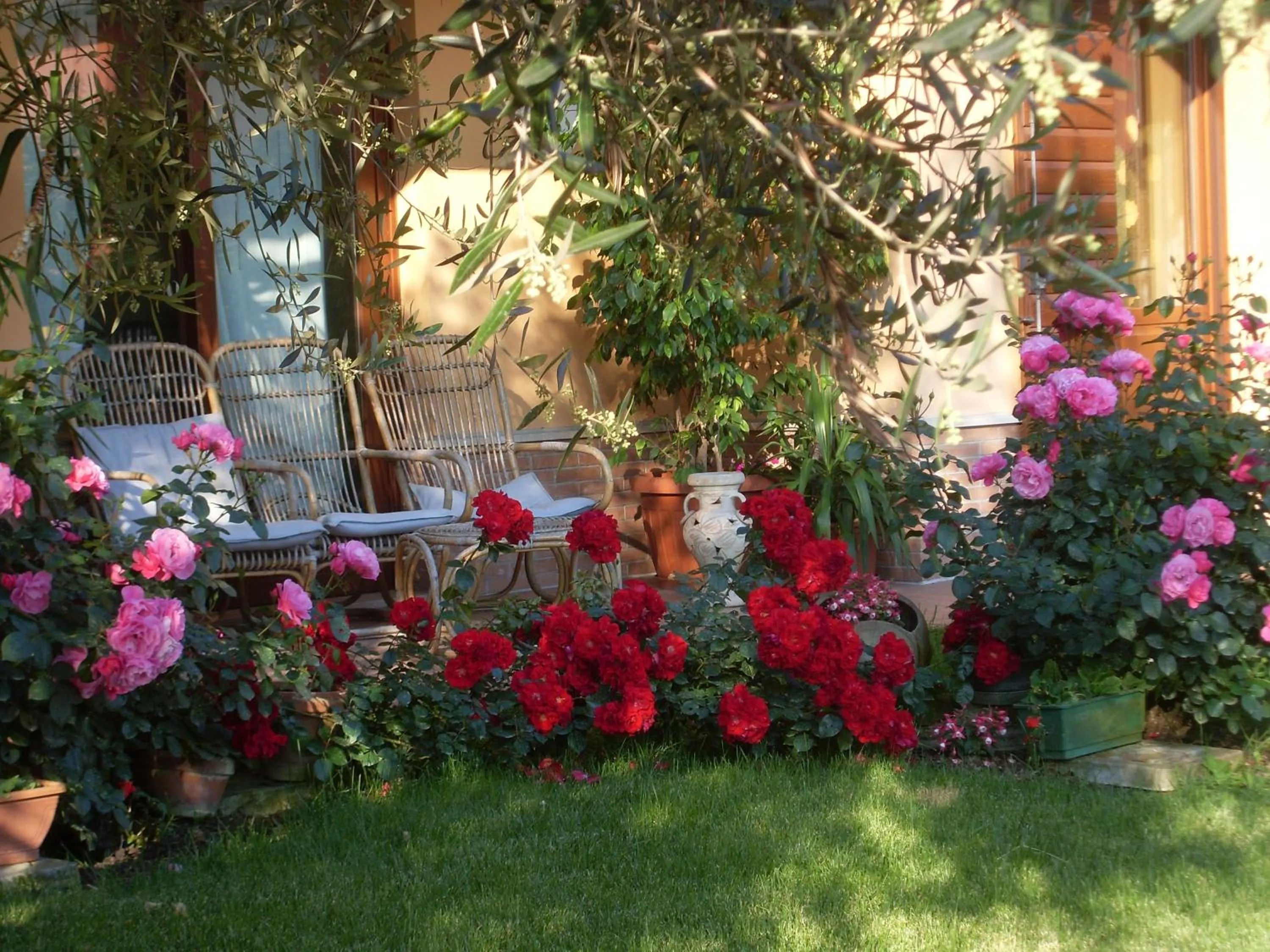 B&B La Dimora delle Calendule