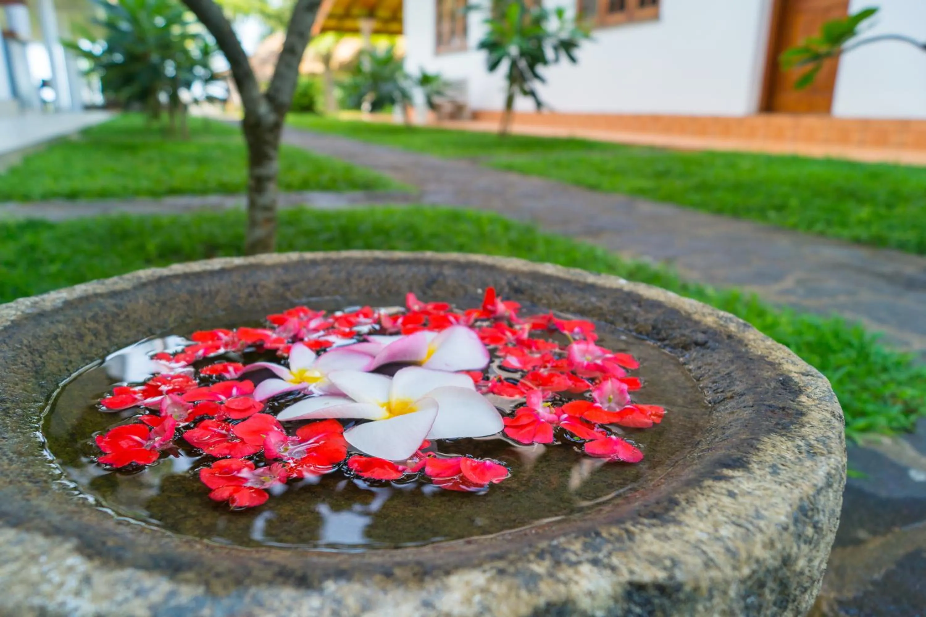 View (from property/room) in Rockside Cabanas Hotel