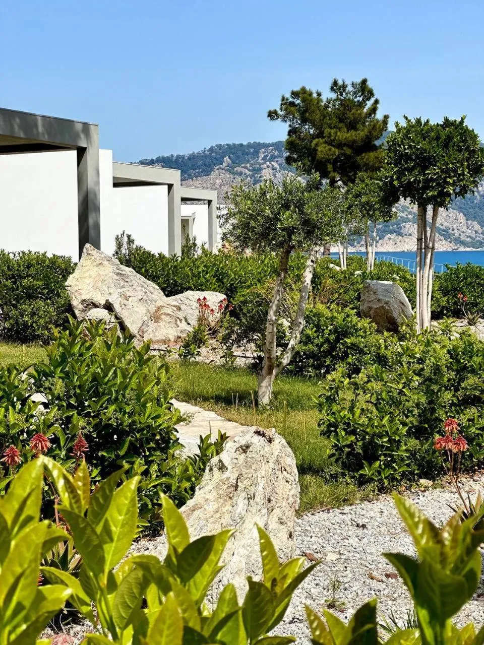 Garden in Z-Villas Beach Hotel