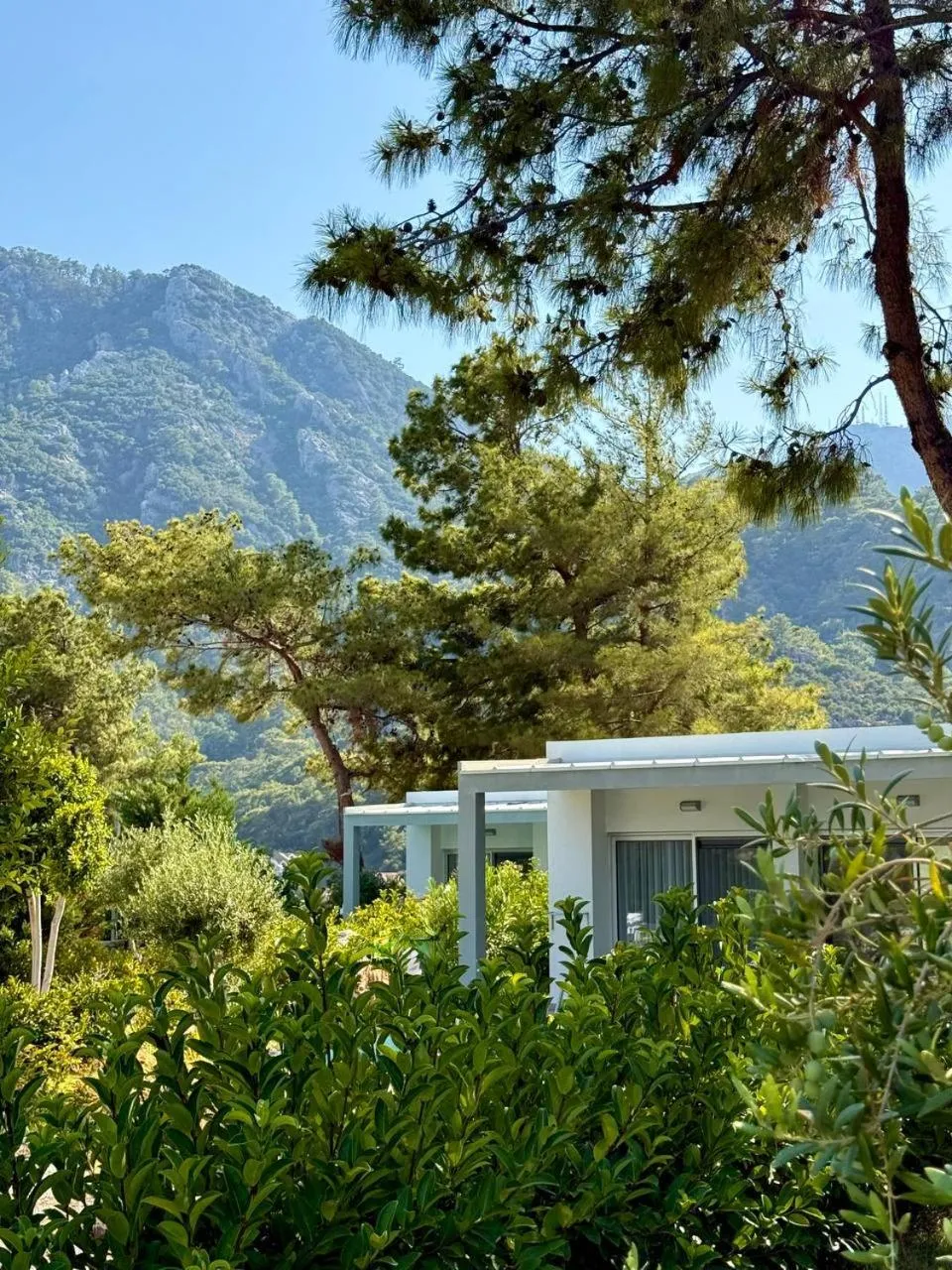 Garden in Z-Villas Beach Hotel