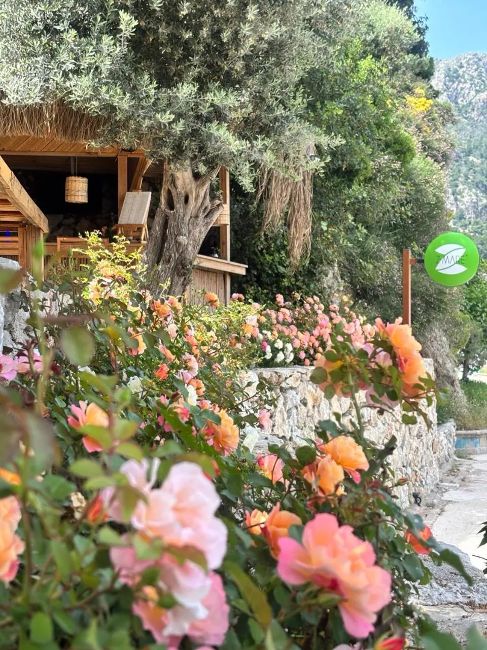 Garden in Z-Villas Beach Hotel